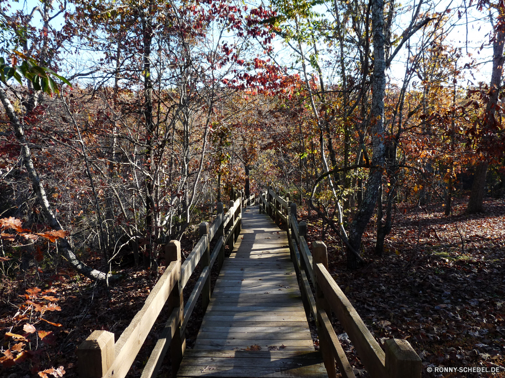 Grand Gulf State Park Parkbank Sitzbank Sitz Wald Park Möbel Baum Herbst Landschaft Bäume fallen Holz Blatt Blätter Möblierung Szenerie Pfad Saison Track landschaftlich Branch Hölzer Straße gelb im freien Reisen im freien Umgebung Fluss Entwicklung des ländlichen natürliche Belaubung Winter Wandern Wasser Garten Farben Szene Landschaft bunte Land Pflanze Gras Wanderweg Berg zu Fuß Zaun kalt Golden friedliche See Frühling Perspektive Schnee Wildnis Wanderweg Orange Farbe Stream sonnig Tag Waldland Schritt Wanderung Nebel Zweige Wild Fuß Stein gelassene alt am Morgen Sommer Sonnenlicht Fels Art und Weise außerhalb Himmel Brücke Wetter Urlaub Braun Erholung Frost Unterstützung Tourismus Berge ruhige aus Holz saisonale park bench bench seat forest park furniture tree autumn landscape trees fall wood leaf leaves furnishing scenery path season track scenic branch woods road yellow outdoors travel outdoor environment river rural natural foliage winter hiking water garden colors scene countryside colorful country plant grass trail mountain walk fence cold golden peaceful lake spring perspective snow wilderness footpath orange color stream sunny day woodland step hike fog branches wild walking stone serene old morning summer sunlight rock way outside sky bridge weather vacation brown recreation frost support tourism mountains tranquil wooden seasonal