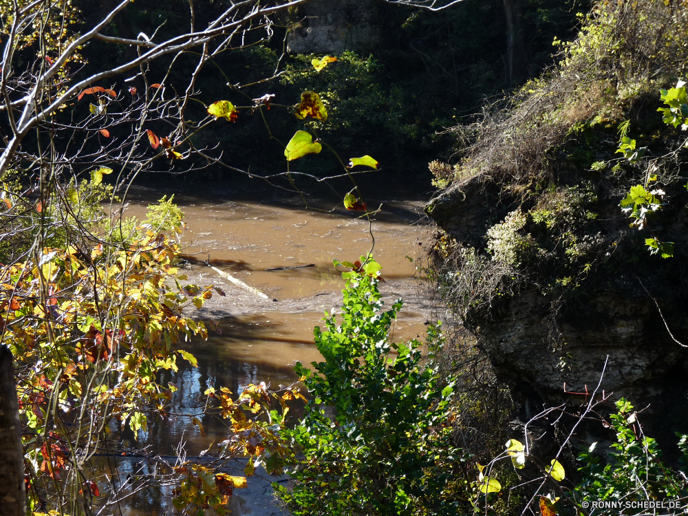 Grand Gulf State Park Baum woody plant vascular plant Pflanze Wald Landschaft Herbst Park Bäume fallen Strauch Fluss Garten Wasser Frühling Blatt Belaubung im freien natürliche Saison Gras Berg landschaftlich Umgebung Spinnennetz Sommer Entwicklung des ländlichen Blätter Szenerie Kraut gelb Reisen Stein Himmel im freien Fels Orange Pfad Blume Wild Berge Szene bunte Wildnis Land Web Branch ruhige Sonne friedliche Feld Busch Hölzer Stream Blumen Stechginster Pflanzen Farbe Land Tag Landschaft Flora Sonnenlicht üppige Landwirtschaft saisonale Dill Strömung Frieden Holz Straße Tourismus nass Creek Trap See Wasserfall frisch Reinigen frische Luft Ökologie nationalen Wiese Moos Gartenarbeit Felsen Braun Wetter am Morgen hell Obst Farben tree woody plant vascular plant plant forest landscape autumn park trees fall shrub river garden water spring leaf foliage outdoor natural season grass mountain scenic environment spider web summer rural leaves scenery herb yellow travel stone sky outdoors rock orange path flower wild mountains scene colorful wilderness country web branch tranquil sun peaceful field bush woods stream flowers gorse plants color land day countryside flora sunlight lush agriculture seasonal dill flow peace wood road tourism wet creek trap lake waterfall fresh clean freshness ecology national meadow moss gardening rocks brown weather morning bright fruit colors