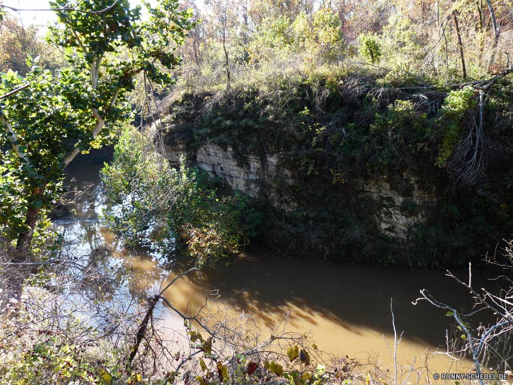 Grand Gulf State Park Baum woody plant Wald vascular plant Landschaft Herbst Bäume Park fallen Pflanze Fluss Saison Blatt Belaubung im freien Gras Wasser Frühling natürliche Land Entwicklung des ländlichen Blätter Berg landschaftlich Szenerie Umgebung Hölzer Wildnis Garten Stein See gelb Szene im freien Pfad Strauch Holz Branch Himmel Fels friedliche Sommer bunte Busch Landschaft Sonne ruhige Straße Reisen Land Tag üppige Blume saisonale Stream Wild sonnig Farbe Berge Feld Flora Sonnenlicht am Morgen Tourismus Moos alt Wanderweg Golden frische Luft Frieden Waldland klar Orange idyllische Ruhe Sumpf Mandel Braun Farben Ahorn Zweige Landschaften Wetter gelassene Ökologie frisch Landwirtschaft tree woody plant forest vascular plant landscape autumn trees park fall plant river season leaf foliage outdoor grass water spring natural land rural leaves mountain scenic scenery environment woods wilderness garden stone lake yellow scene outdoors path shrub wood branch sky rock peaceful summer colorful bush countryside sun tranquil road travel country day lush flower seasonal stream wild sunny color mountains field flora sunlight morning tourism moss old trail golden freshness peace woodland clear orange idyllic calm swamp almond brown colors maple branches scenics weather serene ecology fresh agriculture