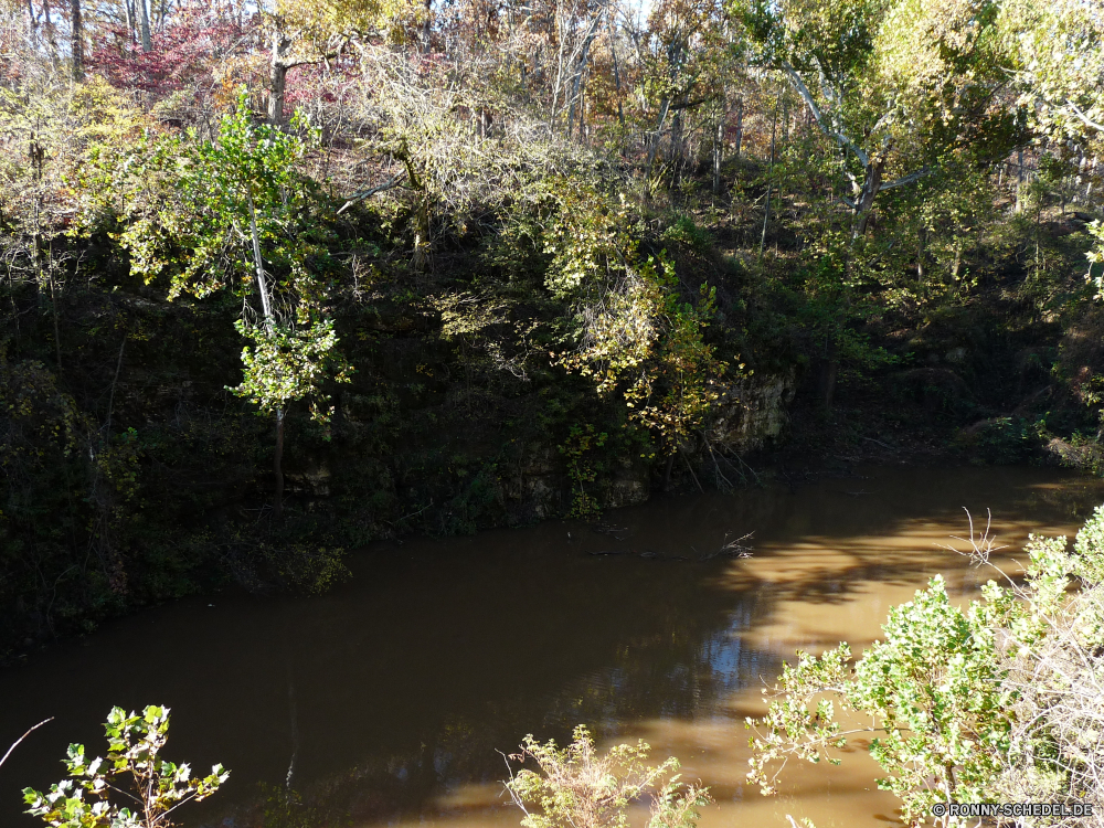 Grand Gulf State Park Baum woody plant vascular plant Landschaft Wald Pflanze Fluss Bäume Wasser Park Herbst im freien Frühling landschaftlich Umgebung See fallen Berg Gras Entwicklung des ländlichen Blätter Szenerie Strauch Himmel Belaubung natürliche Saison im freien Garten Sommer ruhige Wildnis Hölzer Blatt Stein Fels friedliche bunte white mangrove Tag Land Berge Szene Teich Stream Wild Reisen Ruhe Landschaft Wasserfall Tourismus Kraut klar Creek üppige Sonnenlicht sonnig Branch Land Reflexion Brücke gelb cow parsley Reinigen frische Luft Moos nass Farbe Busch Landschaften idyllische Holz am Morgen Wandern Pfad smoke bush Ökologie Kanal ruhig Tal Bonsai Wolken alt Pflanzen Strömung Frieden Sonne Farben Bewegung Blume Birke Gartenarbeit gelassene Entspannung fließende Urlaub hell Sumpf niemand tree woody plant vascular plant landscape forest plant river trees water park autumn outdoor spring scenic environment lake fall mountain grass rural leaves scenery shrub sky foliage natural season outdoors garden summer tranquil wilderness woods leaf stone rock peaceful colorful white mangrove day land mountains scene pond stream wild travel calm countryside waterfall tourism herb clear creek lush sunlight sunny branch country reflection bridge yellow cow parsley clean freshness moss wet color bush scenics idyllic wood morning hiking path smoke bush ecology channel quiet valley bonsai clouds old plants flow peace sun colors motion flower birch gardening serene relaxation flowing vacation bright swamp nobody