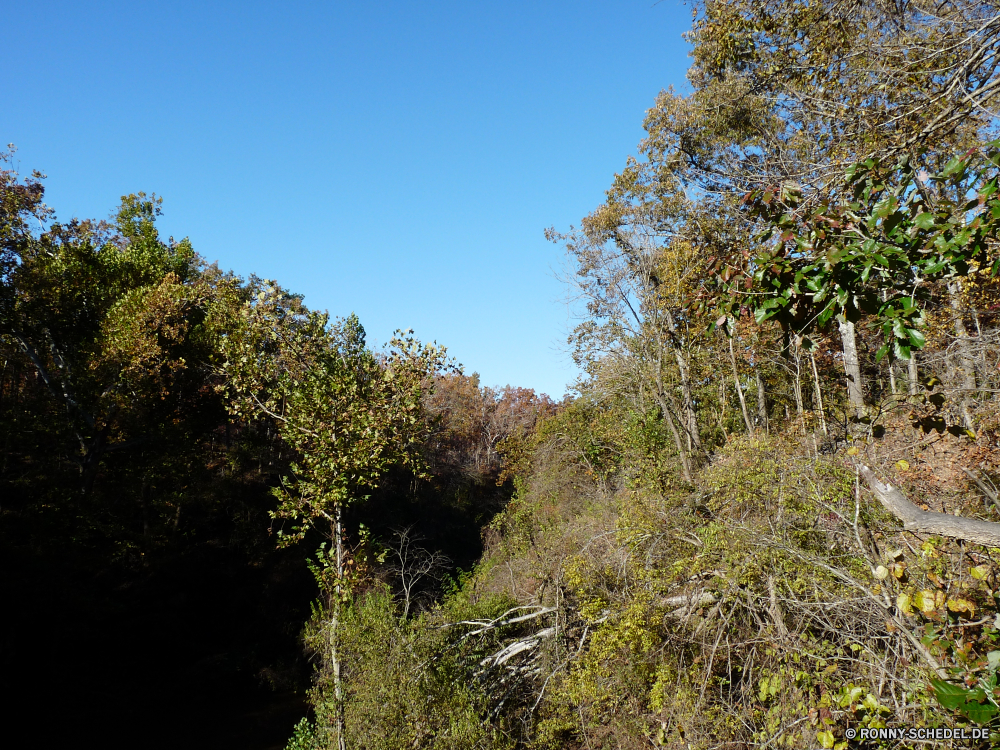 Grand Gulf State Park Baum woody plant vascular plant Pflanze Landschaft Wald Himmel Bäume Park Herbst Saison Blatt im freien Blätter fallen Gras im freien Belaubung Umgebung Frühling Sommer gelb Branch Holz Szenerie Hölzer Szene Entwicklung des ländlichen sonnig natürliche Tag Wiese Sonne Landschaft Sonnenlicht Garten Flora Land Feld Kiefer ruhige friedliche Farbe Licht Horizont Kofferraum bunte Wildnis außerhalb Eiche üppige Akazie landschaftlich saisonale Pflanzen Wolken Zweige ruhig Land Wild Wolke Frieden am Morgen Farben Wachstum klar Esche Busch Landschaften Golden idyllische Ruhe Gold nationalen Ahorn Berg hell Orange Rinde Reisen Weide Birke Tourismus See Wetter frisch Bauernhof Fluss tree woody plant vascular plant plant landscape forest sky trees park autumn season leaf outdoors leaves fall grass outdoor foliage environment spring summer yellow branch wood scenery woods scene rural sunny natural day meadow sun countryside sunlight garden flora land field pine tranquil peaceful color light horizon trunk colorful wilderness outside oak lush acacia scenic seasonal plants clouds branches quiet country wild cloud peace morning colors growth clear ash bush scenics golden idyllic calm gold national maple mountain bright orange bark travel pasture birch tourism lake weather fresh farm river