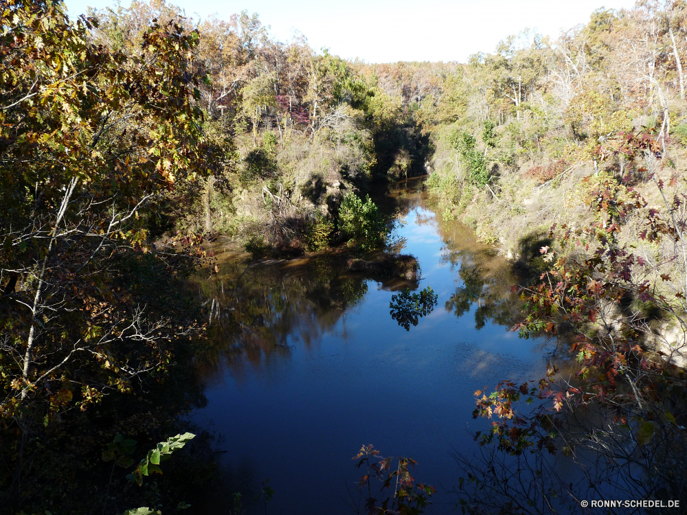 Grand Gulf State Park Wald Land See Landschaft Sumpf Baum Wasser Fluss Feuchtgebiet Himmel Reflexion Bäume Park Teich landschaftlich Ufer Wildnis Gras Berg ruhige Sommer im freien Reisen am See Pflanze Szenerie Berge im freien Entwicklung des ländlichen Umgebung Kanal natürliche Saison Wolken Frühling sonnig Holz Ruhe Wolke Stein Körper des Wassers Sonne Fels Hölzer Sonnenlicht Herbst Stream Szene Becken woody plant klar friedliche Sonnenuntergang Blatt Landschaften idyllische Belaubung natürliche depression Tourismus Urlaub Landschaft nationalen am Morgen Wiese Wild Farbe Flora vascular plant Blätter bunte Tal Insel fallen geologische formation Kiefer Bewuchs Felsen Feld Tourist Küste Tag Land Strand forest land lake landscape swamp tree water river wetland sky reflection trees park pond scenic shore wilderness grass mountain tranquil summer outdoors travel lakeside plant scenery mountains outdoor rural environment channel natural season clouds spring sunny wood calm cloud stone body of water sun rock woods sunlight autumn stream scene basin woody plant clear peaceful sunset leaf scenics idyllic foliage natural depression tourism vacation countryside national morning meadow wild color flora vascular plant leaves colorful valley island fall geological formation pine vegetation rocks field tourist coast day country beach