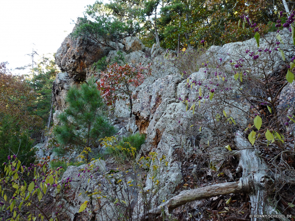 Hot Springs National Park Baum woody plant vascular plant Pflanze Herbst Wald Landschaft Park fallen Bäume Blatt Strauch Blätter Belaubung Saison Branch im freien Himmel gelb Szenerie Garten bunte Szene natürliche Blume Farben im freien Hölzer Kraut Holz Flora Berg Cassia Ahorn Gras landschaftlich Farbe Frühling Tag Orange Blumen nationalen Sommer Entwicklung des ländlichen hell Licht Pflanzen Berge See sonnig Golden außerhalb Wasser Fluss Sonne Land Zweige Landschaften Fels Pfad Landschaft Tourismus Umgebung Reflexion Sonnenlicht saisonale Jahreszeiten idyllische Reisen Wüste friedliche Wildnis ruhige Straße Braun Neu Kofferraum Stein üppige Busch Bereich Gold Wachstum tree woody plant vascular plant plant autumn forest landscape park fall trees leaf shrub leaves foliage season branch outdoors sky yellow scenery garden colorful scene natural flower colors outdoor woods herb wood flora mountain cassia maple grass scenic color spring day orange flowers national summer rural bright light plants mountains lake sunny golden outside water river sun country branches scenics rock path countryside tourism environment reflection sunlight seasonal seasons idyllic travel desert peaceful wilderness tranquil road brown new trunk stone lush bush area gold growth