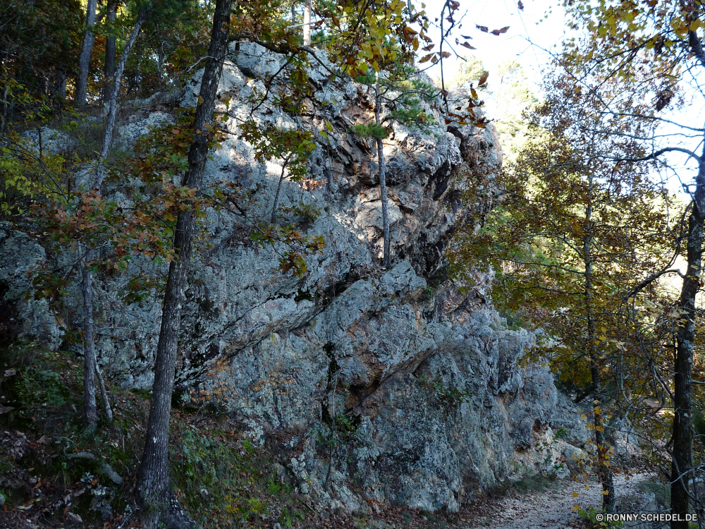 Hot Springs National Park Baum woody plant Wald vascular plant Bäume Birke Landschaft Pflanze Branch Saison Park Herbst Himmel im freien im freien Blatt Belaubung Holz Hölzer Blätter fallen Szene Frühling Mandel natürliche Entwicklung des ländlichen Zweige sonnig Gras gelb Tag Kofferraum Umgebung Sonne southern beech Szenerie Wachstum Wildnis Rinde Eiche Sommer Flora saisonale Pappel Kiefer Sonnenlicht silver tree Licht Wetter Schnee Landschaft ruhige üppige Farben alt kalt Winter Blumen blühen bunte hell Land landschaftlich Wandern groß Blüte Garten Farbe Eukalyptus außerhalb Pfad Reisen Wolken Orange Feld friedliche Frieden Straße Neu Braun Bauernhof Berg Wasser Frühling Blume Frost gelassene Vorbau Eis See frisch Fluss aus Holz niemand tree woody plant forest vascular plant trees birch landscape plant branch season park autumn sky outdoors outdoor leaf foliage wood woods leaves fall scene spring almond natural rural branches sunny grass yellow day trunk environment sun southern beech scenery growth wilderness bark oak summer flora seasonal poplar pine sunlight silver tree light weather snow countryside tranquil lush colors old cold winter blossom colorful bright country scenic hiking tall bloom garden color eucalyptus outside path travel clouds orange field peaceful peace road new brown farm mountain water springtime flower frost serene stem ice lake fresh river wooden nobody