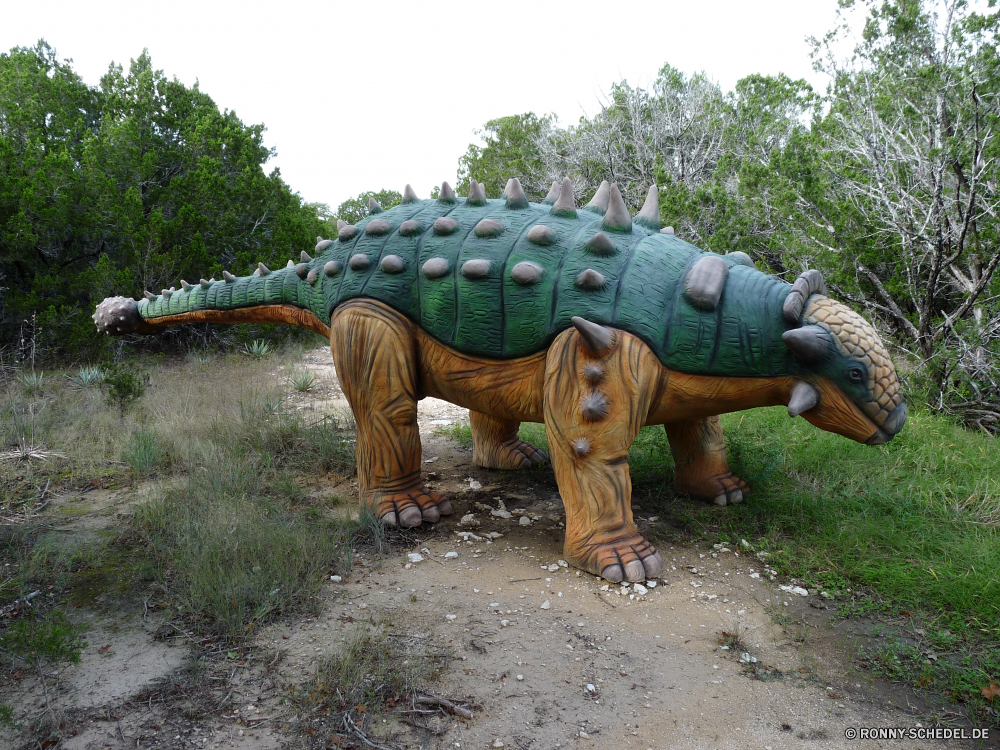 Dinosaur World Pferd Bauernhof Pferde Ranch Tier Entwicklung des ländlichen Säugetier Hengst Gras Braun Pflug Stute Weide Feld Tiere Pferde Mähne Trense Wild Werkzeug Wiese Kopf Landschaft Kastanie testing im freien Schwanz Bäume Landwirtschaft Heu Pony Beweidung Wildtiere Land Haustier Pferdesport Reiten Essen Rasse Freund Corral Fahrerlager Auge Ausführen Sommer Himmel Kabelbaum Porträt Fohlen Baum Gerät Vieh Gesicht Trab Weiden Feed Säugetiere Zaun Meister landwirtschaftlichen Sattel Fahrt Augen Talos IV – Tabu Rinder Dressur Pferdeschwanz Stud Schmutz schwarz Essen Kuh Sport Triceratops Landschaft Nase Haare Frühling Scheune Ausführen Landbau Waggon Tiger horse farm horses ranch animal rural mammal stallion grass brown plow mare pasture field animals equine mane bridle wild tool meadow head countryside chestnut stable outdoors tail trees agriculture hay pony grazing wildlife country pet equestrian riding eat breed friend corral paddock eye run summer sky harness portrait foal tree device livestock face trot graze feed mammals fence champion agricultural saddle ride eyes menagerie cattle dressage ponytail stud dirt black eating cow sport triceratops landscape nose hair spring barn running farming wagon tiger