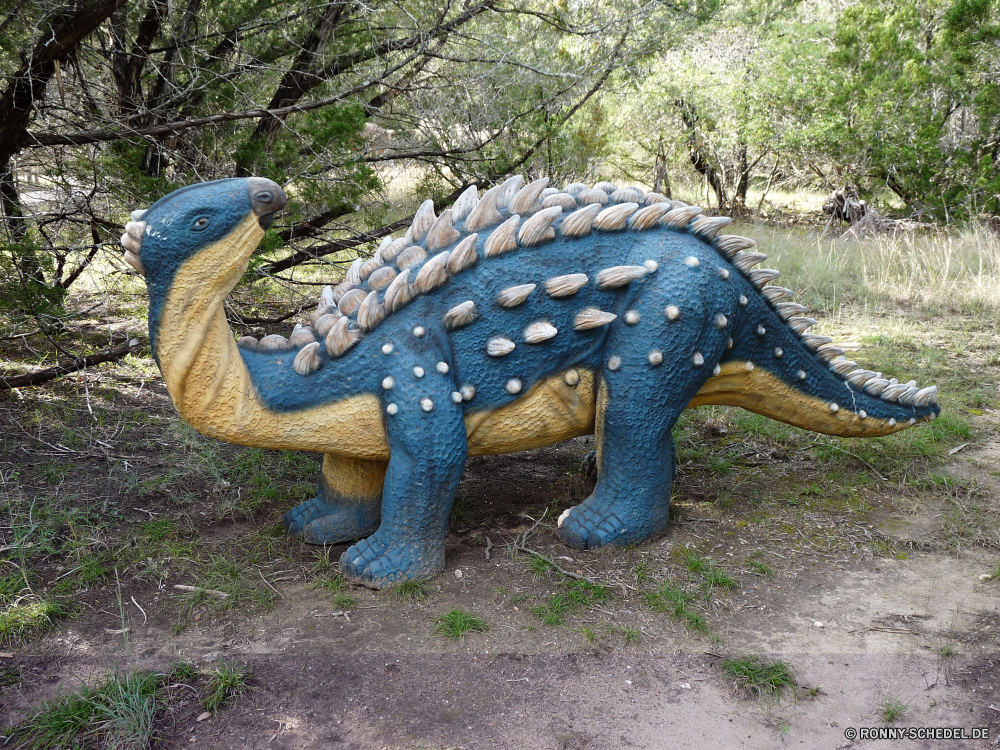 Dinosaur World Triceratops Schildkröte Reptil Wildtiere Dinosaurier Schale Wirbeltiere Wasser langsam Talos IV – Tabu Schildkröte Wild Tropischer Meer Ozean Sumpfschildkröte Chordatiere Marine Schließen Seestern Kreatur — Tiere Meeresschildkröte Strand Gras Kopf Leben Auge Zoo Sand Fisch Sommer Sterne Unterwasser gefährliche Haustier Insel im freien Park Reisen Urlaub Riese aquatische Skala exotische Elefant Amphibie closeup natürliche Krokodil Dosenschildkröte Braun nass Urlaub Gesicht Safari Haut Fuß Vogel Eidechse im freien Umgebung Schutz Gefahr triceratops turtle reptile wildlife dinosaur shell vertebrate water slow menagerie tortoise wild tropical sea ocean terrapin chordate marine close starfish creature animals sea turtle beach grass head life eye zoo sand fish summer star underwater dangerous pet island outdoor park travel vacation giant aquatic scale exotic elephant amphibian closeup natural crocodile box turtle brown wet holiday face safari skin walking bird lizard outdoors environment protection danger