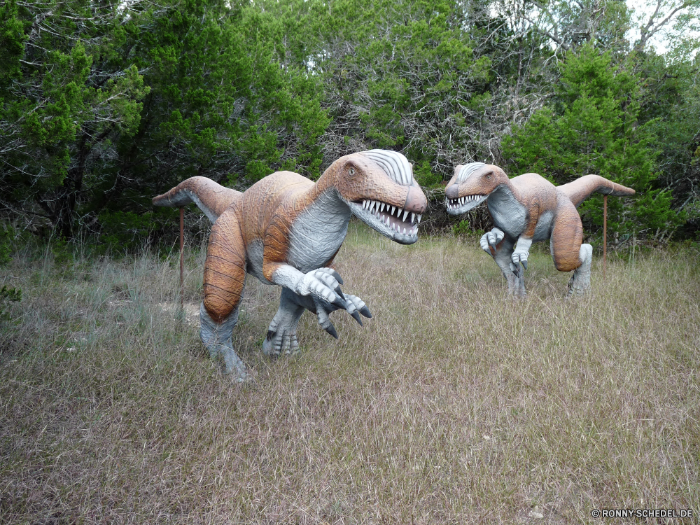 Dinosaur World Vogel Wildtiere Tiere Gras Gans Turkei Widder Wild Schaf im freien Pfau Park Safari Feld Wiederkäuer Einfaltspinsel Bighorn peafowl Männchen Schnabel im freien Wasservögel Hund Kopf Wiese Windhund Bauernhof Elefant Feder Whippet Lamm Berg-Schaf Ohren Tierwelt Braun Fasan Lämmchen Wasser Haustier Bracke Bäume aquatische Vogel Hirsch Flügel Sommer inländische Racer Lemur Familie Entwicklung des ländlichen Frühling schwarz Geier Vögel niemand Schwanz Wilde Schafe zwei Wüste Umgebung Kamel Junge Säugetier bird wildlife animals grass goose turkey ram wild sheep outdoors peacock park safari field ruminant simpleton bighorn peafowl male beak outdoor waterfowl dog head meadow greyhound farm elephant feather whippet lamb mountain sheep ears fauna brown pheasant lambkin water pet hound trees aquatic bird deer wing summer domestic racer lemur family rural spring black vulture birds nobody tail wild sheep two desert environment camel young mammal