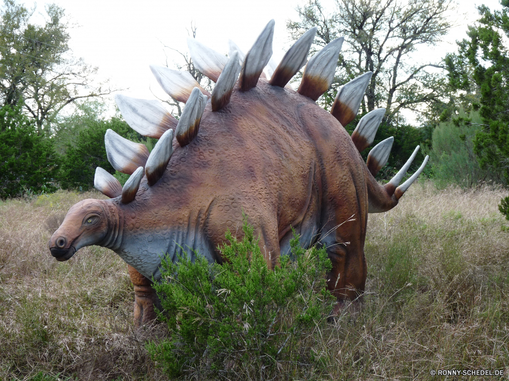 Dinosaur World Triceratops Dinosaurier Säugetier Wildtiere Safari Wild Stier Park Elefant Tiere Gras Horn Ohren Pflanzenfresser Wildnis Braun Süden Hörner nationalen Erhaltung Büffel fünf im freien Rinder Hirsch Kuh Bauernhof gefährliche Reisen Feld Nashorn Männchen Sommer Tourismus Elch Beweidung Spiel reservieren Busch Kopf Antilope Wiese Lumb gefährdet Weide Gesicht im freien natürliche Bäume Elefanten Savanne Weiden Pferd Wald Kofferraum Zoo Tierwelt Baum Essen Schließen Wasser Entwicklung des ländlichen triceratops dinosaur mammal wildlife safari wild bull park elephant animals grass horn ears herbivore wilderness brown south horns national conservation buffalo five outdoors cattle deer cow farm dangerous travel field rhinoceros male summer tourism elk grazing game reserve bush head antelope meadow tusk endangered pasture face outdoor natural trees elephants savanna graze horse forest trunk zoo fauna tree eating close water rural