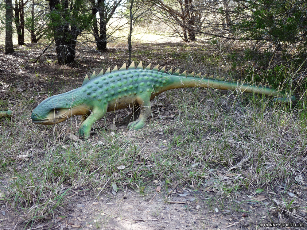 Dinosaur World Eidechse Chamäleon gemeinsamen Leguan Wildtiere Reptil Wild Person Vogel Pfau Smaragdeidechse Auge Tiere Schnabel peafowl Drache Wasser Haustier Gras Tropischer Zoo Schwanz bunte gelb Baum Fasan Skala Tierwelt im freien Leben Kopf exotische Leguan Wirbeltiere Federn Farbe fliegen Schließen Branch Umgebung Fisch Tarnung Wald natürliche schwarz im freien Park auf der Suche Raubtier Vögel Safari Feder Flügel Erhaltung Dinosaurier Braun Gefahr Bäume lizard chameleon common iguana wildlife reptile wild person bird peacock green lizard eye animals beak peafowl dragon water pet grass tropical zoo tail colorful yellow tree pheasant scale fauna outdoors life head exotic iguana vertebrate feathers color fly close branch environment fish camouflage forest natural black outdoor park looking predator birds safari feather wings conservation dinosaur brown danger trees