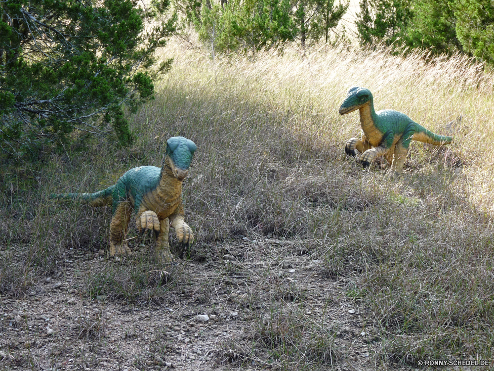 Dinosaur World Pfau peafowl Fasan Wildtiere Spiel Vogel Wild Gras Schnabel Feder im freien Männchen Tiere Park Säugetier Federn Sommer Braun Feld Gefieder Hirsch Vögel Wasser Tropischer natürliche Frühling Wiese im freien Entwicklung des ländlichen Landschaft Ente Schließen Papagei Auge Bauernhof Zoo Wald Flügel Ara Turkei bunte Kopf Haustier Umgebung Vogelgrippe Hölzer Hund Menschen Pelz Spiel gelb Herbst Land Enten Sceada Fütterung Jagd Reisen Tierwelt Teich Safari Schwanz zwei Land Süden Freizeit See Fluss Familie Leben peacock peafowl pheasant wildlife game bird wild grass beak feather outdoors male animals park mammal feathers summer brown field plumage deer birds water tropical natural spring meadow outdoor rural landscape duck close parrot eye farm zoo forest wing macaw turkey colorful head pet environment avian woods dog people fur game yellow autumn country ducks drake feeding hunting travel fauna pond safari tail two land south leisure lake river family life