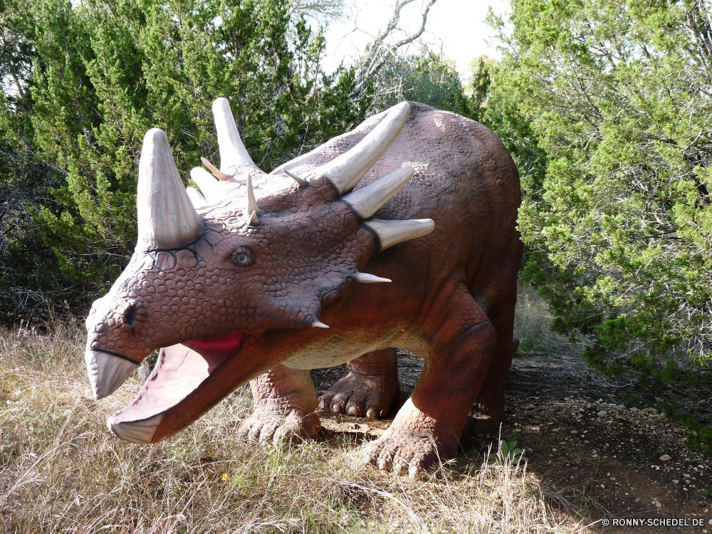 Dinosaur World Triceratops Dinosaurier Pferd Säugetier Bauernhof Gras Pferde Wild Braun Wildtiere Tiere Weide Feld Mähne Safari Ranch Entwicklung des ländlichen Kopf Hengst Stute Wiese Elefant Pferdesport Beweidung im freien Sommer Pferde Essen Vieh Reiten Ohren Park Porträt Pony natürliche Gesicht Nashorn Nashorn reservieren Hals inländische schwarz Auge Himmel Fohlen Horn Zoo Erhaltung Haustier Landschaft nationalen Körper Haare Land Landwirtschaft Kastanie Pflanzenfresser gefährdet stehende Haustiere Nase gefährliche Süden Landschaft Suchen triceratops dinosaur horse mammal farm grass horses wild brown wildlife animals pasture field mane safari ranch rural head stallion mare meadow elephant equestrian grazing outdoors summer equine eating livestock riding ears park portrait pony natural face rhinoceros rhino reserve neck domestic black eye sky foal horn zoo conservation pet landscape national body hair country agriculture chestnut herbivore endangered standing pets nose dangerous south countryside look