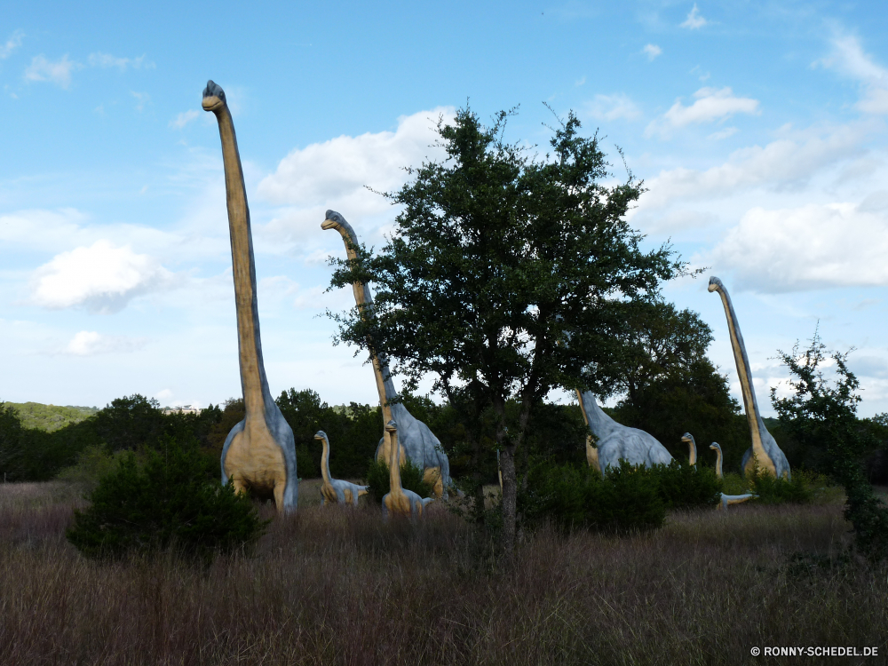 Dinosaur World Schreitvogel Weißstorch aquatische Vogel Storch Kran Vogel Himmel Gras Landschaft Baum Entwicklung des ländlichen Feld Landschaft Bauernhof Land Bäume Wasser landschaftlich Reiher alt Pflanze Sommer Umgebung Landwirtschaft Frühling Architektur Wiese Reiher natürliche Golf im freien Szene Wind Kultur Tag Wolken im freien Szenerie Reisen Geschichte Spiel Wild Wald Landbau außerhalb Saison traditionelle Sport Park Kugel Windmühle Mühle Gebäude Golf spielen Holländisch Abschlag Sonne malerische Wolke Kurs macht Verein idyllische historische Haus Schaufel Freizeit Denkmal Ökologie Erholung Sonnenlicht Fluss Meer wading bird white stork aquatic bird stork crane bird sky grass landscape tree rural field countryside farm country trees water scenic egret old plant summer environment agriculture spring architecture meadow heron natural golf outdoors scene wind culture day clouds outdoor scenery travel history game wild forest farming outside season traditional sport park ball windmill mill building golfing dutch tee sun picturesque cloud course power club idyllic historical house shovel leisure monument ecology recreation sunlight river sea