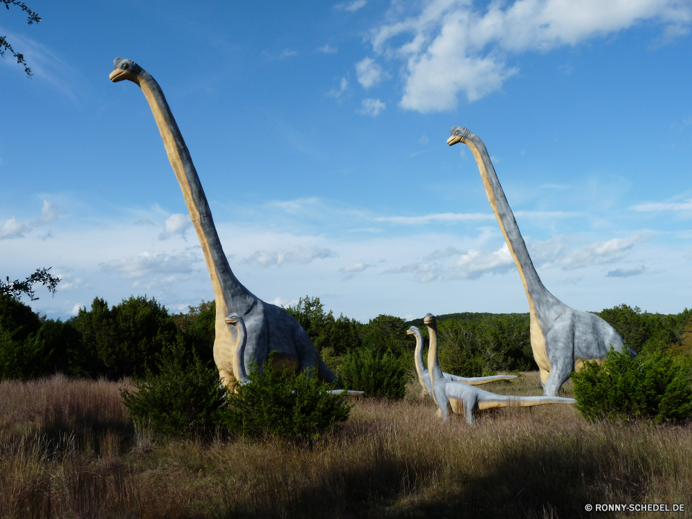 Dinosaur World Kran Schreitvogel aquatische Vogel Vogel Himmel Gras Wasser Wildtiere im freien Feld außerhalb im freien Landschaft Land Wild Tiere Landschaft Freizeit Entwicklung des ländlichen Hals Geschichte Bauernhof glücklich Tag Pelikan Sommer Wiese Spiel Kugel Frühling Federn Reiher Wolken Freude Umgebung natürliche Freiheit Sonne Porträt Meer Architektur crane wading bird aquatic bird bird sky grass water wildlife outdoors field outside outdoor landscape country wild animals countryside leisure rural neck history farm happy day pelican summer meadow game ball spring feathers heron clouds joy environment natural freedom sun portrait sea architecture