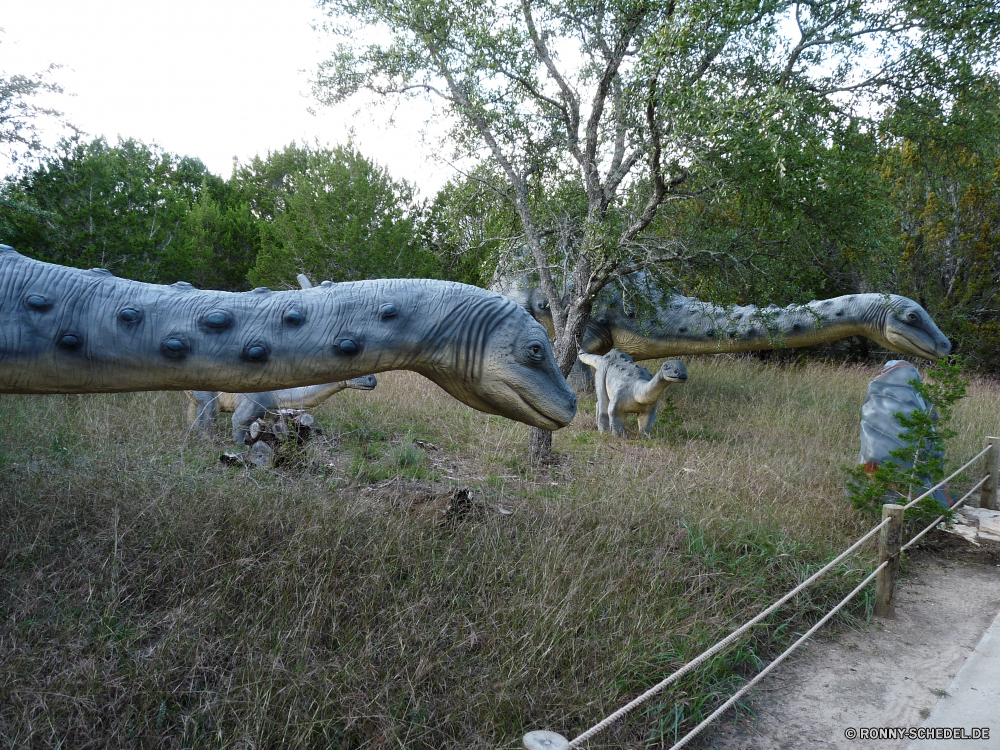 Dinosaur World Gras Feld Bauernhof Dalmatiner Hund Entwicklung des ländlichen Tiere Weide Kuh Wildtiere Pferd Säugetier Stier Rinder im freien Haustier Hundeartige Wiese Wald Talos IV – Tabu Wild Ranch Bäume Vieh Park Hirsch Wasserbüffel Braun Baum Landwirtschaft Landschaft Kopf Giraffe Land Tier Landschaft Beweidung im freien Wildnis Sommer Wiederkäuer alten Welt Büffel Fuß Pelz Frühling Rindern natürliche Wasser außerhalb Landbau Kalb Haustier inländische Geweihe Männchen Pferdesport Jagd Pferde Rindfleisch fallen schwarz Vogel Schaf grass field farm dalmatian dog rural animals pasture cow wildlife horse mammal bull cattle outdoors domestic animal canine meadow forest menagerie wild ranch trees livestock park deer water buffalo brown tree agriculture landscape head giraffe country animal countryside grazing outdoor wilderness summer ruminant old world buffalo walking fur spring bovine natural water outside farming calf pet domestic antlers male equestrian hunting horses beef fall black bird sheep