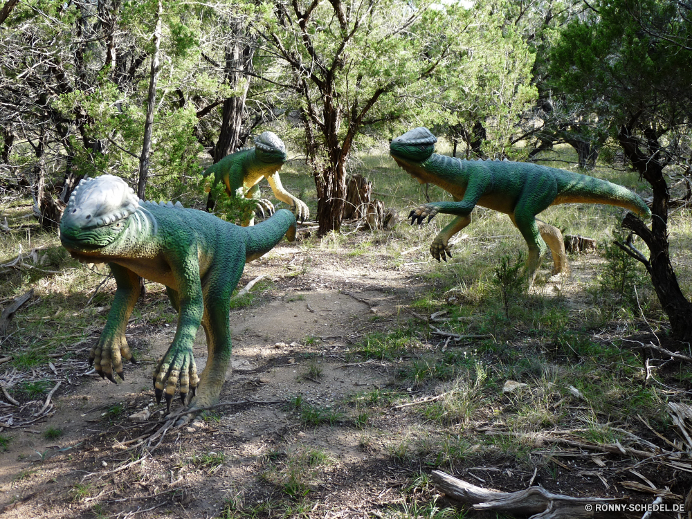 Dinosaur World Hund Hundeartige Haustier Jagdhund Bracke Pferd Bauernhof Tiere Gras Haustier Feld im freien Entwicklung des ländlichen Braun Pferde Wildtiere Wild Wiese Freund Kopf Bäume Wald Sommer Hengst Vogel Rasse niedlich Landschaft Ranch Weide Park Männchen Landwirtschaft Haustiere Frühling Pferde Terrier Gefahr Hunde Land Ausführen Feder Schwanz Porträt Dinosaurier Windhund inländische saddle blanket Stier Pferdesport Menschen Wachhund Baum Himmel Fuß Freundschaft natürliche Landschaft stable gear dog canine domestic animal hunting dog hound horse farm animals grass pet field outdoors rural brown horses wildlife wild meadow friend head trees forest summer stallion bird breed cute landscape ranch pasture park male agriculture pets spring equine terrier danger dogs country run feather tail portrait dinosaur greyhound domestic saddle blanket bull equestrian people watchdog tree sky walking friendship natural countryside stable gear