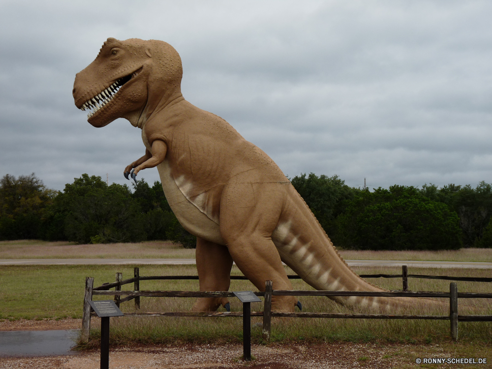 Dinosaur Valley State Park Elefant Säugetier Safari Wildtiere Wild Kofferraum Ohren Lumb Elfenbein Park Tiere Elefanten gefährdet Stier Erhaltung im freien Trainer nationalen fünf Pferd Süden Statue reservieren Bracke Spiel Hauer Gras Pflanzenfresser Turngeräte Tourismus Sportgerät starke Reisen Dickhäuter Riese Hund Jagdhund Wasser Badehose Trampolin Trinken gefährliche Kopf Herde Ohr Schwanz Männchen Wildnis Himmel stehende Person leistungsstarke Baum Stand macht Beine Feld Trinken Stärke Sport Hundeartige natürliche Auge Bauernhof Fluss Sommer elephant mammal safari wildlife wild trunk ears tusk ivory park animals elephants endangered bull conservation outdoors trainer national five horse south statue reserve hound game tusks grass herbivore gymnastic apparatus tourism sports equipment strong travel pachyderm giant dog hunting dog water trunks trampoline drinking dangerous head herd ear tail male wilderness sky standing person powerful tree stand power legs field drink strength sport canine natural eye farm river summer