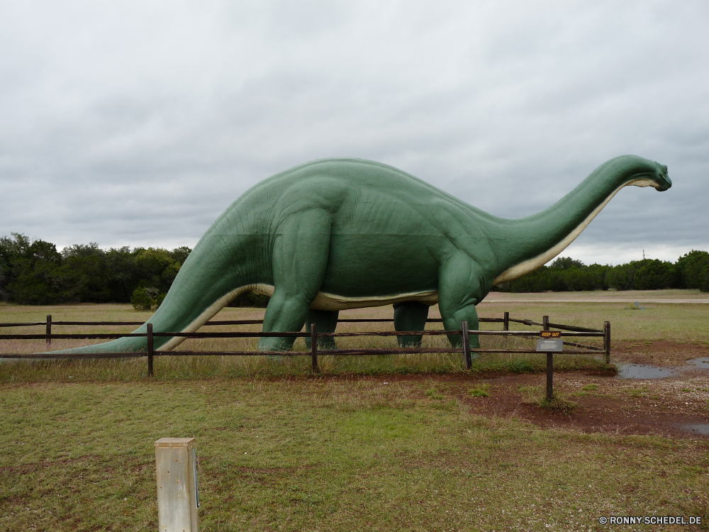 Dinosaur Valley State Park Triceratops Dinosaurier Elefant Safari Gras Wildtiere Säugetier Wild Himmel Park Tiere im freien Feld Wiese Lumb Reisen Kofferraum Planetarium Landschaft Spiel im freien Schwanz reservieren Sommer Tourismus Entwicklung des ländlichen Gebäude Elfenbein Umgebung Frühling Männchen Sport Monster fünf Ohren Erhaltung außerhalb Süden Kopf nationalen Bauernhof gefährdet Struktur Wald Wasser Spaß Freiheit aktive Sonne Familie Pflanzenfresser Menschen sonnig Zoo Kreatur — Wildnis Mann Urlaub See Lebensstil Berg triceratops dinosaur elephant safari grass wildlife mammal wild sky park animals outdoors field meadow tusk travel trunk planetarium landscape game outdoor tail reserve summer tourism rural building ivory environment spring male sport monster five ears conservation outside south head national farm endangered structure forest water fun freedom active sun family herbivore people sunny zoo creature wilderness man vacation lake lifestyle mountain