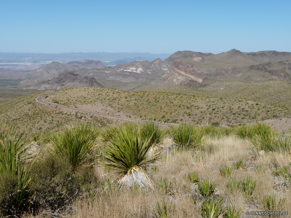 Big Bend National Park vascular plant Landschaft Agave Pflanze woody plant Strauch Baum Berge Himmel Berg Wüste Yucca Wüste Pflanze Wildnis Park Gras Reisen Sommer landschaftlich Fels Land Feld im freien Hochland Hügel Hügel Tal Frühling Szenerie Wiese Wolken Entwicklung des ländlichen Tourismus nationalen sonnig Landschaft natürliche Wasser Land Umgebung Kaktus trocken Steppe Spitze im freien Sand Wald Reiner Saison Landwirtschaft Bereich Wild friedliche Schnee Bauernhof Kraut Sonne niemand Stein Ökologie cabbage tree Urlaub Bereich Fluss Bäume Geologie Gelände Panorama Abenteuer Pflanzen ruhige Wetter am Morgen karge Arid Farbe felsigen Wandern Busch Felsen Licht See fallen Reed Schlucht Tag Meer vascular plant landscape agave plant woody plant shrub tree mountains sky mountain desert yucca desert plant wilderness park grass travel summer scenic rock land field outdoors highland hill hills valley spring scenery meadow clouds rural tourism national sunny countryside natural water country environment cactus dry steppe peak outdoor sand forest plain season agriculture area wild peaceful snow farm herb sun nobody stone ecology cabbage tree vacation range river trees geology terrain panorama adventure plants tranquil weather morning barren arid color rocky hiking bush rocks light lake fall reed canyon day sea