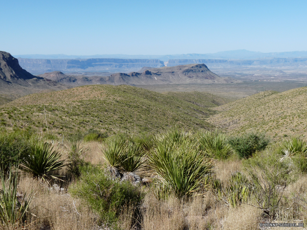 Big Bend National Park Landschaft Baum vascular plant Pflanze Himmel Berg woody plant Berge Gras Park Sommer Reisen landschaftlich Feld Kraut Wildnis Strauch Land Entwicklung des ländlichen Umgebung Wüste Reed Wiese Hügel Landwirtschaft Wald Szenerie Hochland Frühling Agave Wasser Tourismus im freien im freien Wolke Wolken Tal Landschaft nationalen Yucca Fels Reiner Steppe Hügel Spitze Bauernhof Land sonnig Fluss Wüste Pflanze Panorama natürliche Wild Sonne Szene Bereich Horizont Bäume Saison friedliche See Pfad Tag Pflanzen Sand Düne ruhige fallen Urlaub Sonnenlicht Herbst Wandern Stein trocken Kiefer Belaubung Ökologie Insel cabbage tree gelb Alpine Meer Kaktus Busch Bereich Abenteuer Landbau landscape tree vascular plant plant sky mountain woody plant mountains grass park summer travel scenic field herb wilderness shrub land rural environment desert reed meadow hill agriculture forest scenery highland spring agave water tourism outdoors outdoor cloud clouds valley countryside national yucca rock plain steppe hills peak farm country sunny river desert plant panorama natural wild sun scene range horizon trees season peaceful lake path day plants sand dune tranquil fall vacation sunlight autumn hiking stone dry pine foliage ecology island cabbage tree yellow alpine sea cactus bush area adventure farming