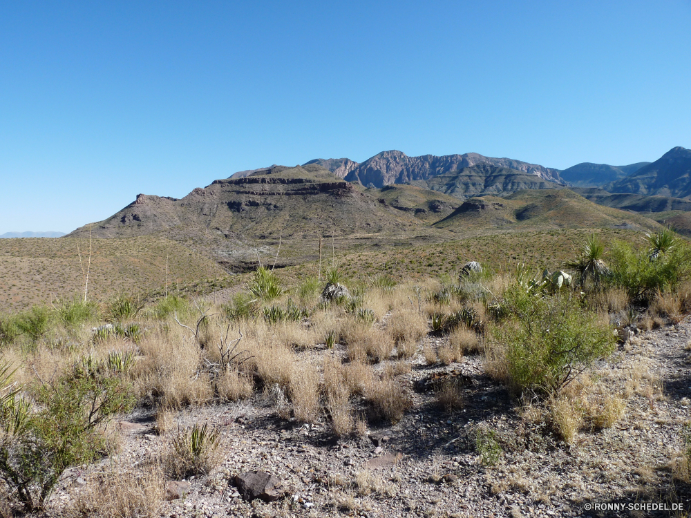 Big Bend National Park Hochland Landschaft Berg Wüste Berge Himmel Fels Land Steppe Park Wildnis Bereich nationalen Hügel Reisen Reiner Tal Geologie Schlucht landschaftlich Stein Knoll trocken Tourismus Felsen Sand Baum Sommer Szenerie Klippe Spitze Gras im freien Kaktus Steinmauer im freien Wolken Panorama natürliche Bereich Abenteuer Wild Strauch Hügel Fluss Umgebung Insel Tag Pflanze Zaun Arid Sandstein Bildung felsigen Landschaften Wolke Wasser Land niemand Wärme Feld Urlaub Bäume karge Braun Aushöhlung Gelände Grand sonnig außerhalb heiß See friedliche Barrier Landschaft Straße Licht Wald Frühling Südwesten Wandern in der Nähe Busch Süden Vulkan Farbe Schnee Sonnenlicht Entwicklung des ländlichen highland landscape mountain desert mountains sky rock land steppe park wilderness range national hill travel plain valley geology canyon scenic stone knoll dry tourism rocks sand tree summer scenery cliff peak grass outdoors cactus stone wall outdoor clouds panorama natural area adventure wild shrub hills river environment island day plant fence arid sandstone formation rocky scenics cloud water country nobody heat field vacation trees barren brown erosion terrain grand sunny outside hot lake peaceful barrier countryside road light forest spring southwest hiking near bush south volcano color snow sunlight rural