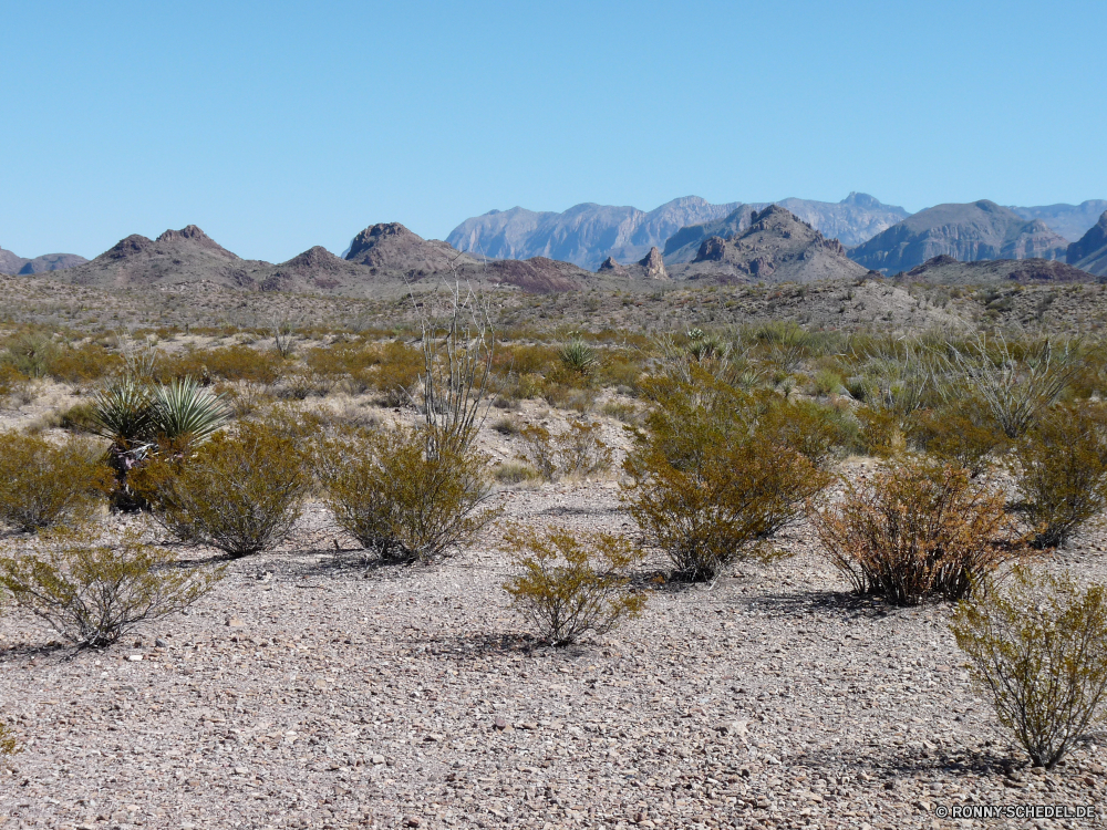 Big Bend National Park Berg Bereich Landschaft Berge Himmel Fels Reisen Hochland Schnee Stein Spitze Wüste Tal Baum Hügel nationalen hoch Tourismus Wildnis landschaftlich Strauch Land Aufstieg im freien Fluss Wolken Steigung Wald Park im freien Szenerie woody plant Schlucht trocken Wolke Steppe Panorama Felsen Umgebung vascular plant natürliche Reiner Klippe Sommer Alpen Straße Sand Winter Gletscher Wandern Kaktus See Geologie felsigen Wasser Pflanze Arid Gelände Herbst Gras sonnig Becken Urlaub geologische formation Bäume Spitzen Szene Landschaften Abenteuer Nach oben natürliche depression Vulkan Landschaft Land karge Wandern Alpine Mount Klettern übergeben Hügel Klima Ökologie Frühling Schuld niemand mountain range landscape mountains sky rock travel highland snow stone peak desert valley tree hill national high tourism wilderness scenic shrub land ascent outdoors river clouds slope forest park outdoor scenery woody plant canyon dry cloud steppe panorama rocks environment vascular plant natural plain cliff summer alps road sand winter glacier hiking cactus lake geology rocky water plant arid terrain autumn grass sunny basin vacation geological formation trees peaks scene scenics adventure top natural depression volcano countryside country barren trekking alpine mount climbing pass hills climate ecology spring fault nobody