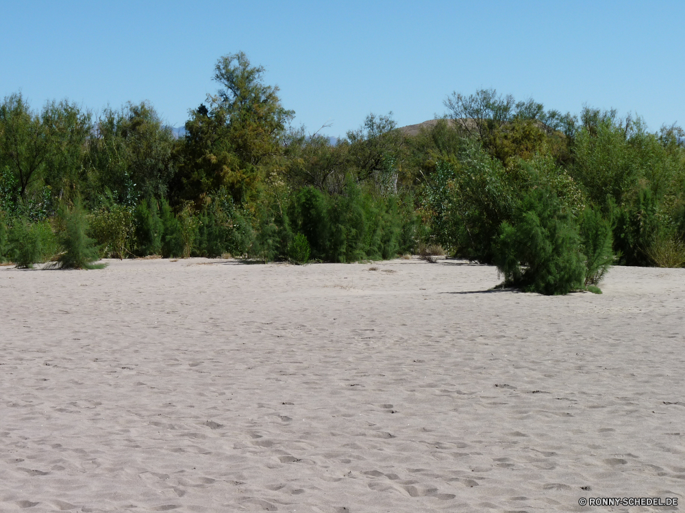 Big Bend National Park Sandbank Baum Bar Landschaft Barrier Grat Himmel Wasser Sand Strand natürliche Höhe Düne Meer Wolken Insel woody plant landschaftlich Ozean Bäume white mangrove Küste Sommer Urlaub Tropischer Reisen Ufer Wolke Pflanze Urlaub vascular plant Wald Paradies geologische formation Gras Szenerie Sonne Entspannen Sie sich Entwicklung des ländlichen See im freien Land Tourismus Saison friedliche Straße natürliche Szene sonnig Park Feld im freien Küste Landschaft ruhige Entspannung Land Fluss Wellen idyllische Palm Resort Tag Holz Busch Welle Wetter Berge Ruhe exotische Horizont Wild seelandschaft bewölkt Ziel heiß Erholung Sonnenlicht romantische Berg Frühling bunte Farbe niemand außerhalb Türkis Hölzer Pfad Sonnenschein Pflanzen Umgebung am Meer Frieden Herbst sandbar tree bar landscape barrier ridge sky water sand beach natural elevation dune sea clouds island woody plant scenic ocean trees white mangrove coast summer vacation tropical travel shore cloud plant holiday vascular plant forest paradise geological formation grass scenery sun relax rural lake outdoor country tourism season peaceful road natural scene sunny park field outdoors coastline countryside tranquil relaxation land river waves idyllic palm resort day wood bush wave weather mountains calm exotic horizon wild seascape cloudy destination hot recreation sunlight romantic mountain spring colorful color nobody outside turquoise woods path sunshine plants environment seaside peace autumn