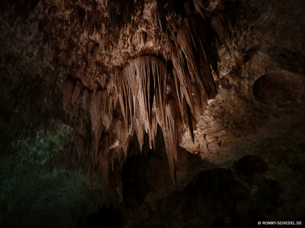 Carlsbad Caverns National Park Höhle geologische formation Fels Baum natürliche Park Stein Wald Landschaft Tourismus Reisen Geologie Wasser Holz Antike Mauer Berg Muster dunkel alt Erde Textur Tropfsteinhöhle Bäume landschaftlich im freien Innenseite Kalkstein Licht nationalen Bildung Klippe nass Umgebung Steine Felsen Pflanze im freien Höhle u-Bahn Tourist Mysterium Braun Stalagmit geologische Formationen Dunkelheit Sandstein geheimnisvolle Fluss tief Hölzer Farbe Ökosystem Ressourcen Rinde Schlucht Tour unter Sand Himmel Ökologie Rau Calcit Mineralien versteckt felsigen Frühling außerhalb Erhaltung Denkmal Berge Branch Detail ganz unter Mining texturierte Aushöhlung Wanderung ungewöhnliche ökologische Kofferraum Orange Boden einzigartige Tropfen Wildnis Ziel Wüste Urlaub Szenerie bunte Oberfläche Wachstum cave geological formation rock tree natural park stone forest landscape tourism travel geology water wood ancient wall mountain pattern dark old earth texture stalactite trees scenic outdoor inside limestone light national formation cliff wet environment stones rocks plant outdoors cavern underground tourist mystery brown stalagmite geologic formations darkness sandstone mysterious river deep woods color ecosystem resources bark canyon tour under sand sky ecology rough calcite minerals hidden rocky spring outside conservation monument mountains branch detail quite beneath mining textured erosion hike unusual ecological trunk orange ground unique drops wilderness destination desert vacation scenery colorful surface growth