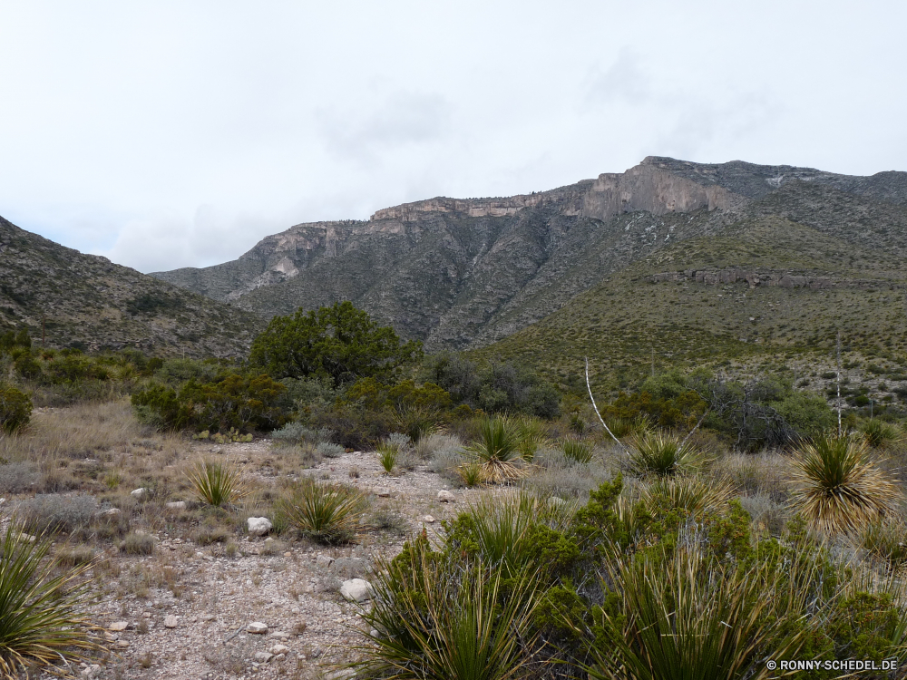 Guadelupe Mountains National Park Wildnis Berg Landschaft Berge Himmel Baum Tal Yucca Park Reisen Strauch woody plant vascular plant nationalen Fels Bereich Wald im freien Fluss Sommer Gras Pflanze Szenerie Hügel Wolken Wasser Tourismus Schnee Stein Hügel landschaftlich Spitze Hochland Wüste Bäume felsigen Wiese Felsen Land Kiefer Wolke Landschaft natürliche Frühling Entwicklung des ländlichen hoch Szene Alpine Steigung Wild sonnig friedliche Ruhe Aufstieg fallen Tanne übergeben Herbst Panorama Klippe See Feld Schlucht Busch Stream im freien Insel Straße Horizont Land Gelände Wandern Tag Kaktus Landschaften außerhalb Pfad Pflanzen Umgebung Urlaub Agave Reflexion Licht Grat Mount ruhig Bereich Abenteuer gelassene Belaubung ruhige Wetter Saison niemand wilderness mountain landscape mountains sky tree valley yucca park travel shrub woody plant vascular plant national rock range forest outdoors river summer grass plant scenery hill clouds water tourism snow stone hills scenic peak highland desert trees rocky meadow rocks land pine cloud countryside natural spring rural high scene alpine slope wild sunny peaceful calm ascent fall fir pass autumn panorama cliff lake field canyon bush stream outdoor island road horizon country terrain hiking day cactus scenics outside path plants environment vacation agave reflection light ridge mount quiet area adventure serene foliage tranquil weather season nobody