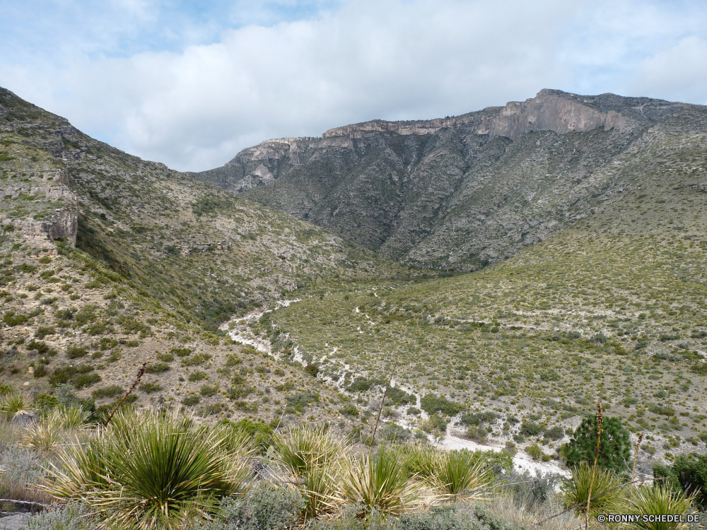 Guadelupe Mountains National Park Berg Berge Landschaft Strauch woody plant Tal Yucca Himmel vascular plant Reisen Wildnis Fels Schnee landschaftlich Fluss Bereich Szenerie Baum Spitze Stein Pflanze im freien hoch im freien Gras Hügel Hochland Wald Park Sommer Wolken Wasser Tourismus Alpen Wandern Panorama felsigen nationalen natürliche Steigung Felsen Umgebung Landschaft Landschaften Szene See Spitzen Wandern Kiefer Bäume Stream Klippe Alp außerhalb Frühling Alpine Aufstieg Schlucht Wolke Gletscher Wüste Wiese Hügel Entwicklung des ländlichen Land Feld Ruhe Tourist Trek Creek Gelände sonnig Kaktus Land Urlaub Herbst steilen geologische formation Tag Mount übergeben kalt Winter Abenteuer gelassene Schlucht Nach oben friedliche Straße Urlaub Saison mountain mountains landscape shrub woody plant valley yucca sky vascular plant travel wilderness rock snow scenic river range scenery tree peak stone plant outdoor high outdoors grass hill highland forest park summer clouds water tourism alps hiking panorama rocky national natural slope rocks environment countryside scenics scene lake peaks trekking pine trees stream cliff alp outside spring alpine ascent canyon cloud glacier desert meadow hills rural country field calm tourist trek creek terrain sunny cactus land vacation autumn steep geological formation day mount pass cold winter adventure serene ravine top peaceful road holiday season