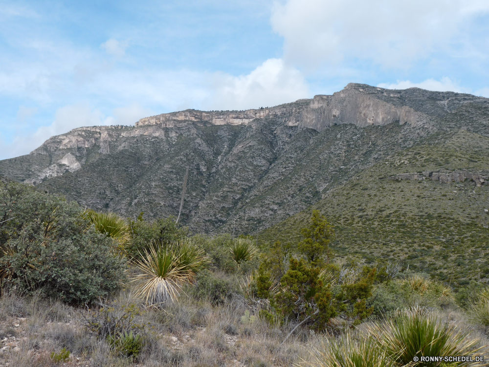 Guadelupe Mountains National Park Berg Bereich Landschaft Berge Wildnis Himmel Baum Park Reisen Tal nationalen im freien Fels Wald Spitze Hochland Szenerie Schnee landschaftlich Wolken Fluss Wasser Sommer Bäume Strauch Yucca woody plant Schlucht Tourismus Wüste Gras Panorama vascular plant Stein Steigung im freien Pflanze Felsen Hügel Wolke felsigen Klippe Herbst Umgebung Aufstieg See hoch Hügel Kiefer Wandern Szene Spitzen Wiese natürliche geologische formation Wild Frühling Ruhe Landschaft Gletscher fallen Urlaub Alpine Geologie Landschaften Kaktus außerhalb Vulkan übergeben friedliche natürliche Höhe Straße Reflexion Entwicklung des ländlichen Alpen Alp Mount Landschaften Aussicht sonnig Busch Abenteuer Pflanzen Belaubung Land Insel Tourist ruhige Wetter Horizont Tag mountain range landscape mountains wilderness sky tree park travel valley national outdoors rock forest peak highland scenery snow scenic clouds river water summer trees shrub yucca woody plant canyon tourism desert grass panorama vascular plant stone slope outdoor plant rocks hill cloud rocky cliff autumn environment ascent lake high hills pine hiking scene peaks meadow natural geological formation wild spring calm countryside glacier fall vacation alpine geology scenics cactus outside volcano pass peaceful natural elevation road reflection rural alps alp mount landscapes vista sunny bush adventure plants foliage land island tourist tranquil weather horizon day