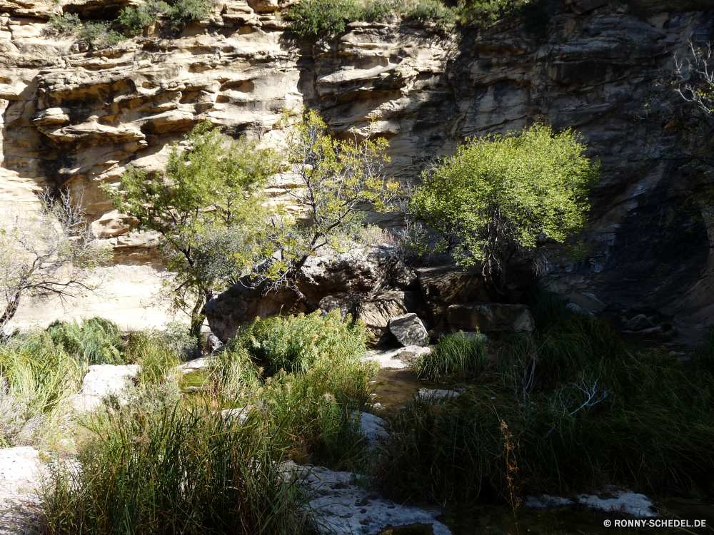 Sitting Bull Falls Baum Wald Fluss Wasser Landschaft woody plant Wildnis Park Bäume Stein vascular plant Berg Fels See Pflanze Stream natürliche Land im freien Sommer Entwicklung des ländlichen Herbst friedliche ruhige Gras Umgebung Frühling im freien Belaubung Reisen Saison Berge Wild Teich Kiefer landschaftlich Szenerie Himmel fallen Hölzer Garten Wasserfall Felsen Blatt Blätter Moos Creek Reflexion üppige Szene Ruhe nationalen Sumpf Brücke fließende Tag Reinigen nass Land Landschaften Strömung Wolken Landschaft bunte Farbe Kanal Tal Wandern Busch frische Luft Urlaub Tourismus Drop Schlucht Feuchtgebiet Ufer Schlucht klar niemand Wolke Frieden Körper des Wassers Sonne am Morgen frisch Farben tree forest river water landscape woody plant wilderness park trees stone vascular plant mountain rock lake plant stream natural land outdoor summer rural autumn peaceful tranquil grass environment spring outdoors foliage travel season mountains wild pond pine scenic scenery sky fall woods garden waterfall rocks leaf leaves moss creek reflection lush scene calm national swamp bridge flowing day clean wet country scenics flow clouds countryside colorful color channel valley hiking bush freshness vacation tourism drop ravine wetland shore canyon clear nobody cloud peace body of water sun morning fresh colors