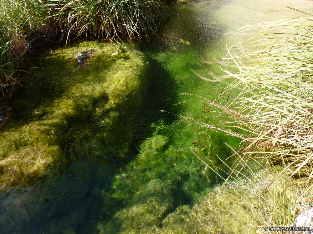 Sitting Bull Falls aquatische Baum vascular plant Wald Pflanze Landschaft Umgebung Kraut Blatt Frühling Park Sommer natürliche Holz asparagus fern im freien Gras Wasser Licht Wild Sonnenlicht Belaubung Saison Fluss Farbe Wasserpflanze Fenchel Tapete Sonne Berg im freien Szenerie Bäume woody plant Stream Muster Hintergründe Tropischer Dschungel Textur Blätter sonnig Branch Stein Tag fallen Garten Organismus fließende Landschaft hell üppige Herbst Gemüse friedliche Frieden ruhige Reisen frisch Kunst Nebel Wachstum landschaftlich Nebel Strahl Wildnis Szene Regen Kiefer niemand Pflanzen Ökologie am Morgen Gestaltung Himmel Entwicklung des ländlichen Land Wasserfall Fels Strahl Hölzer Feld zu produzieren Strömung See Land Wiese nass texturierte bunte Creek Tourismus Tanne aquatic tree vascular plant forest plant landscape environment herb leaf spring park summer natural wood asparagus fern outdoor grass water light wild sunlight foliage season river color aquatic plant fennel wallpaper sun mountain outdoors scenery trees woody plant stream pattern backgrounds tropical jungle texture leaves sunny branch stone day fall garden organism flowing countryside bright lush autumn vegetable peaceful peace tranquil travel fresh art mist growth scenic fog ray wilderness scene rain pine nobody plants ecology morning design sky rural country waterfall rock beam woods field produce flow lake land meadow wet textured colorful creek tourism fir