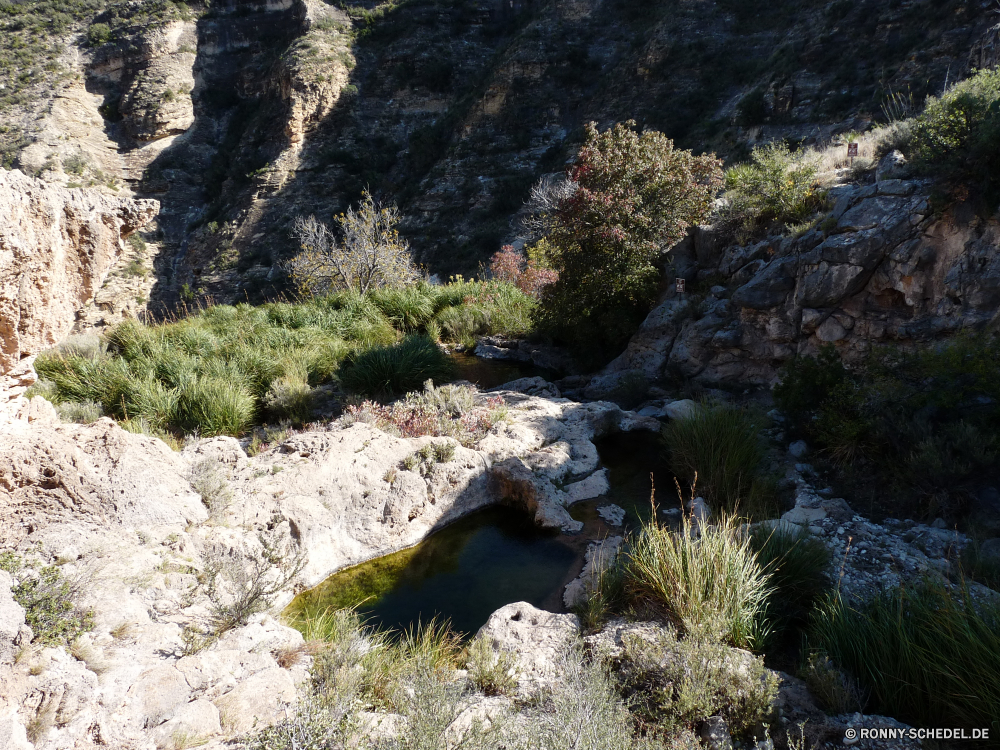 Sitting Bull Falls Berg Fluss Fels Landschaft Wasser Felsen Wildnis Stein Berge Park Stream Sea urchin Baum Wald Wirbellose Schlucht Wasserfall Reisen Stachelhäuter landschaftlich im freien Sommer nationalen Höhle Wild Creek im freien Tal geologische formation felsigen Szenerie natürliche Klippe Tourismus Umgebung Schlucht Kiefer Kaskade Strömung Hügel Frühling Geologie Bäume Tag Pflanze Himmel fallen Steine fließende Moos nass Bewegung fällt Wandern Hölzer hoch friedliche Meer Tourist Küste Spitze Entwicklung des ländlichen Tier Szene platsch Ziel Schnee See Reinigen fallen kalt Wüste frisch Ozean Sand Blätter Saison frische Luft Ökologie Frieden Urlaub Erholung Sonne Strauch Herbst Schlucht Felsbrocken rasche steilen Bildung sonnig woody plant Landschaften Panorama natürliche depression Wolken Küste Ufer Erde Belaubung Geschwindigkeit Ruhe Grat Kühl Barnacle mountain river rock landscape water rocks wilderness stone mountains park stream sea urchin tree forest invertebrate canyon waterfall travel echinoderm scenic outdoors summer national cave wild creek outdoor valley geological formation rocky scenery natural cliff tourism environment ravine pine cascade flow hill spring geology trees day plant sky fall stones flowing moss wet motion falls hiking woods high peaceful sea tourist coast peak rural animal scene splash destination snow lake clean falling cold desert fresh ocean sand leaves season freshness ecology peace vacation recreation sun shrub autumn gorge boulders rapid steep formation sunny woody plant scenics panorama natural depression clouds coastline shore earth foliage speed calm ridge cool barnacle