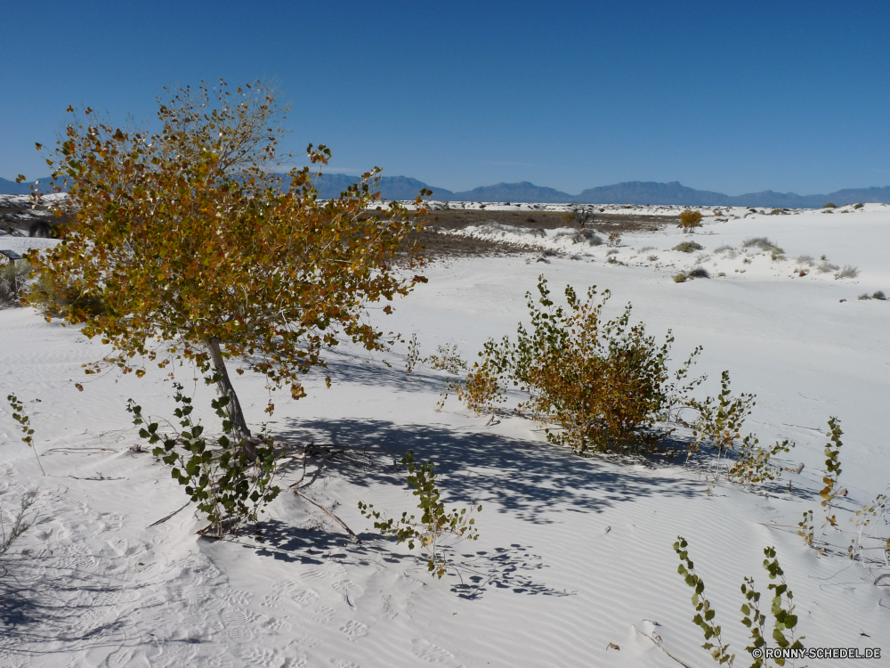 White Sands National Monument Schnee Wetter Winter kalt Landschaft Wald Eis Bäume Frost Baum gefroren Saison Park Himmel schneebedeckt Berg landschaftlich im freien abgedeckt Branch Szenerie Einfrieren Hölzer Szene Kiefer Holz saisonale Entwicklung des ländlichen frostig Berge Land eisig Reisen Sonne im freien Kühl Tag See Birke natürliche sonnig friedliche Landschaft Straße Fluss Pfad Schneefall Klima Ski frostig Alpine Pflanze Steigung Sonnenlicht Wanderweg Landschaften klar Becken Licht Wasser Wildnis Horizont geologische formation Land Wolke Ufer Hügel Kristall Tourismus Umgebung Bereich Urlaub Reim Wunderland am See Track hell natürliche depression horizontale reine Ruhe am Morgen Raureif Spitze Nebel Einsamkeit Extreme Feld Tanne niemand snow weather winter cold landscape forest ice trees frost tree frozen season park sky snowy mountain scenic outdoors covered branch scenery freeze woods scene pine wood seasonal rural frosty mountains country icy travel sun outdoor cool day lake birch natural sunny peaceful countryside road river path snowfall climate ski chilly alpine plant slope sunlight trail scenics clear basin light water wilderness horizon geological formation land cloud shore hill crystal tourism environment range vacation rime wonderland lakeside track bright natural depression horizontal pure calm morning hoarfrost peak fog solitude extreme field fir nobody