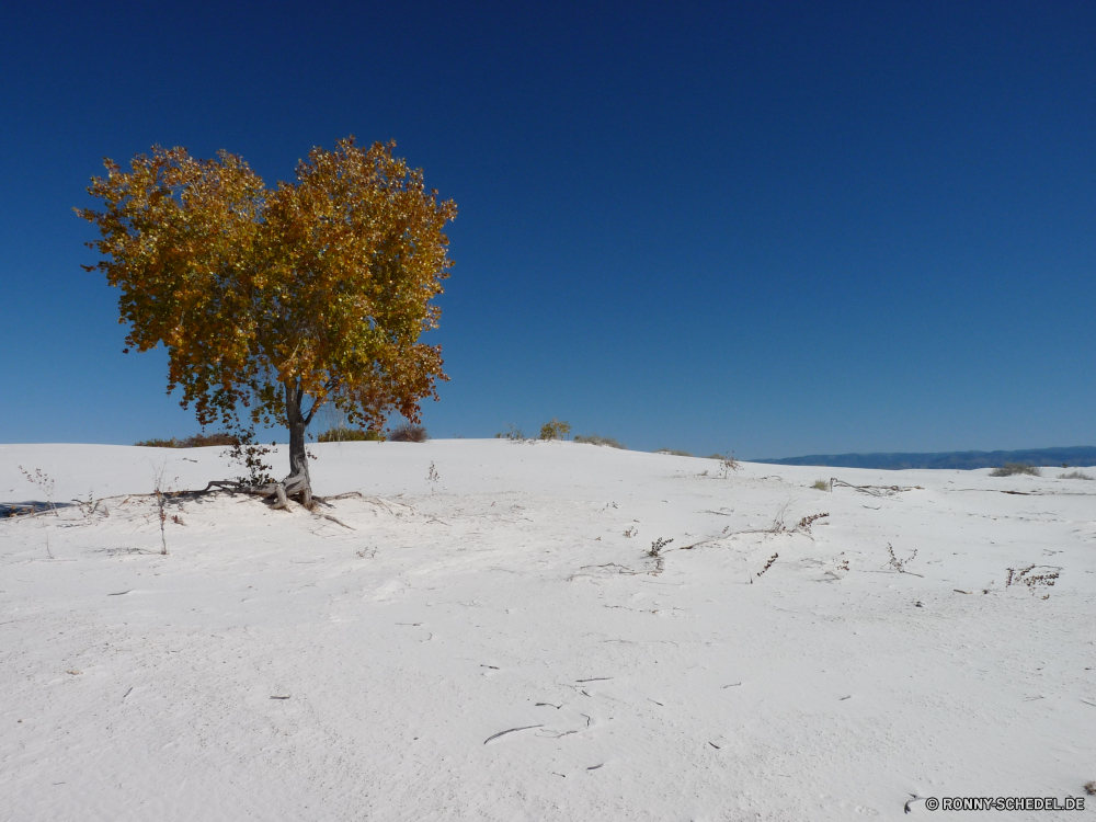 White Sands National Monument Sand Baum Düne Landschaft Strand Himmel Meer Ozean Küste Schnee Insel Reisen Tropischer landschaftlich Urlaub Sommer Sonne Wasser Szenerie Saison Bäume Winter Horizont Ufer Paradies Szene im freien Küste Wolke Palm Wolken Entspannen Sie sich Welle Tourismus sonnig woody plant Urlaub Boden ruhige Wetter im freien Land seelandschaft Wüste Park kalt Pflanze Bucht Sonnenlicht vascular plant exotische Erholung Entspannung Feld Resort Entwicklung des ländlichen idyllische Wald friedliche Ruhe Landschaft Erde Türkis Tag Wendekreis Frost Rest einsam Kokosnuss heiß natürliche schneebedeckt Land Zweige saisonale Reise Ziel niemand Berge Wildnis Lagune klar Hölzer Einsamkeit Urlaub Farbe Holz Tourist Umgebung Kiefer Berg romantische Eis Einfrieren Pazifik entfernten bewölkt Sonnenschein Freizeit Branch nationalen sand tree dune landscape beach sky sea ocean coast snow island travel tropical scenic vacation summer sun water scenery season trees winter horizon shore paradise scene outdoors coastline cloud palm clouds relax wave tourism sunny woody plant holiday soil tranquil weather outdoor land seascape desert park cold plant bay sunlight vascular plant exotic recreation relaxation field resort rural idyllic forest peaceful calm countryside earth turquoise day tropic frost rest lonely coconut hot natural snowy country branches seasonal trip destination nobody mountains wilderness lagoon clear woods solitude vacations color wood tourist environment pine mountain romantic ice freeze pacific remote cloudy sunshine leisure branch national