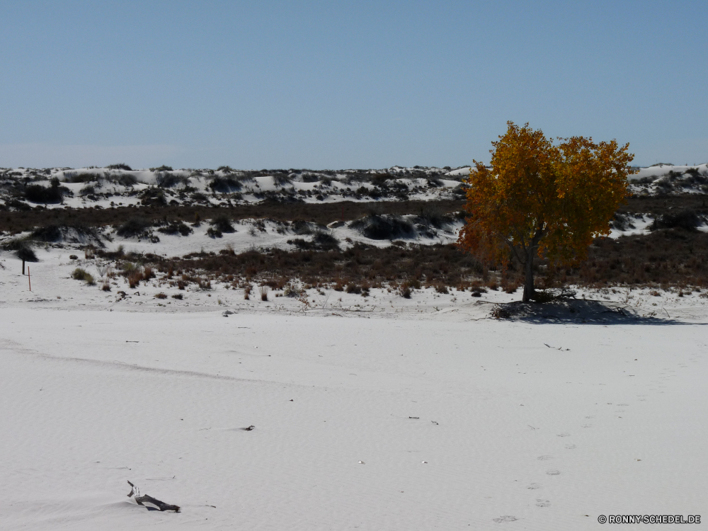 White Sands National Monument Schnee Wetter Winter kalt Landschaft Frost Bäume Eis Saison Wald Baum schneebedeckt Himmel gefroren Park Berg Steigung Szenerie im freien landschaftlich Szene Berge Einfrieren abgedeckt saisonale Reisen Kiefer frostig Landschaft Branch Hölzer Ski Entwicklung des ländlichen Land Holz Skipiste im freien Sonne Straße Fluss Urlaub Tag sonnig See Schneefall Alpine Horizont Wanderweg Bereich eisig Track geologische formation natürliche Wildnis Feld Raureif Licht Nebel Klima Land Sonnenlicht Kühl Wolke Hügel Wasser Kristall friedliche Sport am Morgen Pflanze Skifahren frostig klar Spitze Zweige Landschaften Urlaub Pfad Wolken Sonnenschein Ruhe nationalen Neu Erholung Düne Reim Wunderland Birke Wild Stille majestätisch Sturm Tanne Tourist Aufstieg snow weather winter cold landscape frost trees ice season forest tree snowy sky frozen park mountain slope scenery outdoors scenic scene mountains freeze covered seasonal travel pine frosty countryside branch woods ski rural country wood ski slope outdoor sun road river vacation day sunny lake snowfall alpine horizon trail range icy track geological formation natural wilderness field hoarfrost light fog climate land sunlight cool cloud hill water crystal peaceful sport morning plant skiing chilly clear peak branches scenics holiday path clouds sunshine calm national new recreation dune rime wonderland birch wild silence majestic storm fir tourist ascent