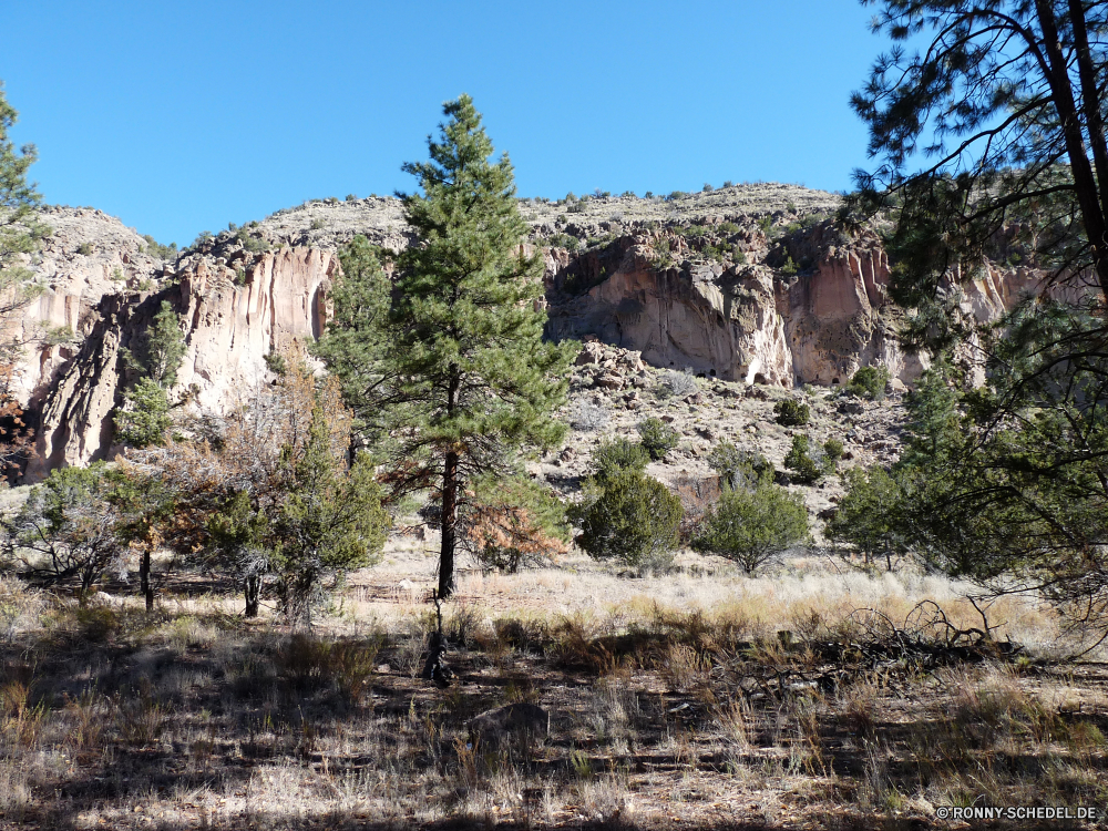 Bandelier National Monument Klippe Schlucht Fels geologische formation Park Landschaft Berg nationalen Wüste Reisen Sandstein Cliff-Wohnung Stein Himmel Geologie Tal landschaftlich Wohnung Tourismus Aushöhlung Bildung Baum Felsen Wildnis Gehäuse Berge im freien Urlaub Knoll Südwesten Sand natürliche im freien Wandern Fluss Hügel Formationen geologische Struktur Szenerie felsigen Sommer Schlucht Wasser Bäume hoch Aussicht Landschaften Nationalpark Klippen Bereich Abenteuer Reise woody plant Orange Wahrzeichen Höhle Spitze Panorama Bereich Wolke Farbe Ziel Umgebung Arid Grand Wald Westen Antike Wolken Tourist Butte geologische Ehrfurcht reservieren Extreme Panorama trocken Kiefer cliff canyon rock geological formation park landscape mountain national desert travel sandstone cliff dwelling stone sky geology valley scenic dwelling tourism erosion formation tree rocks wilderness housing mountains outdoors vacation knoll southwest sand natural outdoor hiking river hill formations geological structure scenery rocky summer ravine water trees high vista scenics national park cliffs range adventure trip woody plant orange landmark cave peak panoramic area cloud color destination environment arid grand forest west ancient clouds tourist butte geologic awe reserve extreme panorama dry pine