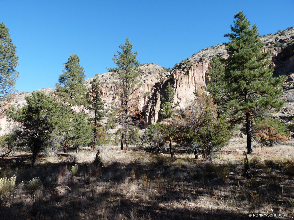 Bandelier National Monument Baum Klippe Fels Landschaft Berg Schlucht Reisen woody plant Park Himmel Stein Wüste Tourismus nationalen Tal Berge vascular plant Urlaub landschaftlich geologische formation Fluss Aushöhlung Wildnis Felsen Hügel Wald im freien Bäume Sandstein Geologie Kiefer Wandern Sommer Pflanze Sand Antike Wolke im freien Bildung Wasser alt Wolken hoch Bereich Szenerie felsigen Umgebung Westen Abenteuer Gras Geschichte Hügel Steigung Aufstieg Architektur Formationen geologische Südwesten Herbst Wasserfall Bereich Reise Schloss fallen natürliche Nationalpark Tempel sonnig Spitze in der Nähe Panorama Busch Struktur Ziel Wahrzeichen Tag tree cliff rock landscape mountain canyon travel woody plant park sky stone desert tourism national valley mountains vascular plant vacation scenic geological formation river erosion wilderness rocks hill forest outdoors trees sandstone geology pine hiking summer plant sand ancient cloud outdoor formation water old clouds high range scenery rocky environment west adventure grass history hills slope ascent architecture formations geological southwest autumn waterfall area trip castle fall natural national park temple sunny peak near panoramic bush structure destination landmark day