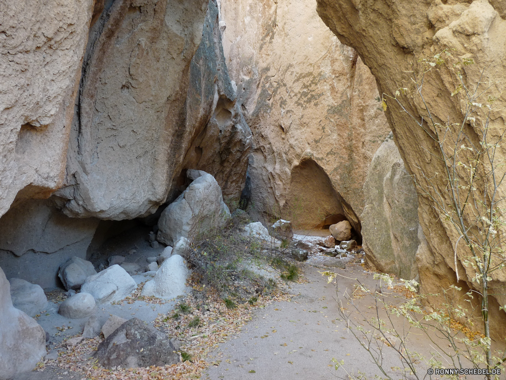 Bandelier National Monument PUMA Fels Wildkatze Katze Seelöwe Höhle Felsen Sand Murmeltier Wasser Berg Stein Reisen Landschaft Park Katzenartige Nagetier Schlucht Fluss Siegel geologische formation Ohrenrobben Wildtiere Klippe Tourismus landschaftlich Meer Säugetier Stream Wüste Ozean Wild felsigen nationalen Löwe im freien Geologie Strand im freien Berge Mungo Sommer Bildung Baum Himmel Tag Creek Sandstein Tal natürliche Hügel Wasserfall Wildnis Erde Rest Wiesel Wald Braun Pelz Reise Frühling Umgebung Urlaub Küste geologische Szenerie Leben Aushöhlung Antike außerhalb Extreme Mauer Holz Ufer Ökologie Insel Sonne Farbe Geschichte Loch cougar rock wildcat cat sea lion cave rocks sand marmot water mountain stone travel landscape park feline rodent canyon river seal geological formation eared seal wildlife cliff tourism scenic sea mammal stream desert ocean wild rocky national lion outdoor geology beach outdoors mountains mongoose summer formation tree sky day creek sandstone valley natural hill waterfall wilderness earth rest weasel forest brown fur trip spring environment vacation coast geological scenery life erosion ancient outside extreme wall wood shore ecology island sun color history hole