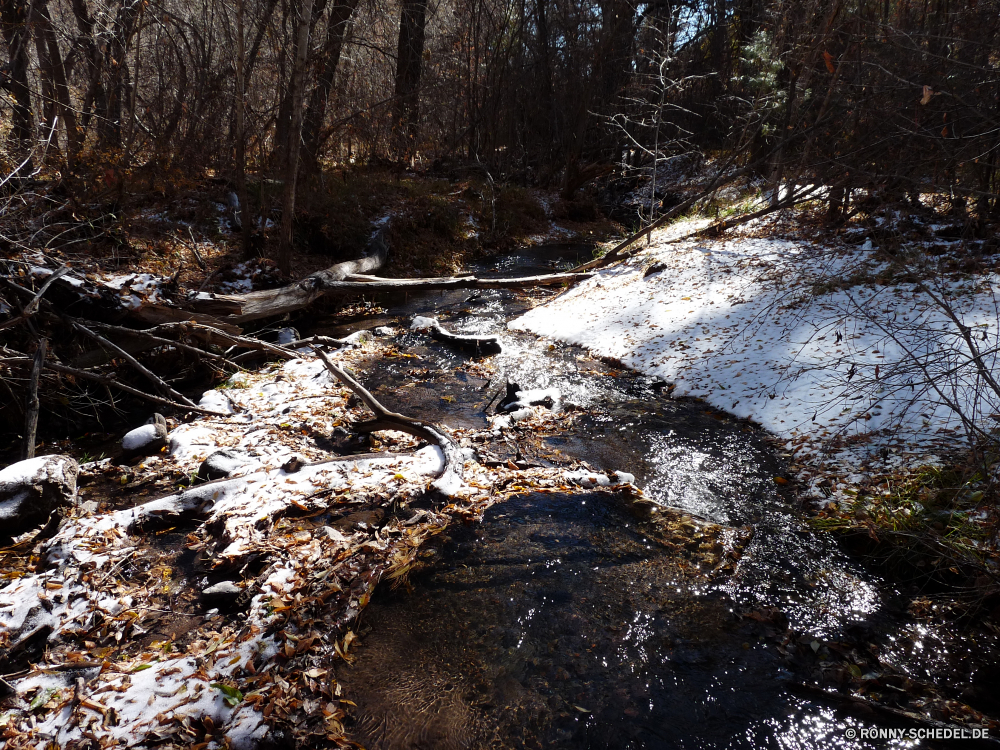 Bandelier National Monument Schnee Baum Landschaft Wald Eis Fluss Wetter Wasser Bäume Berg Park Winter kalt Saison woody plant Frost Kristall im freien Fels fallen Stream Reisen Umgebung im freien Hölzer natürliche Stein Herbst Holz Branch Himmel silver tree gefroren Berge vascular plant Straße Szenerie landschaftlich Wasserfall Tourismus Birke solide See Entwicklung des ländlichen Wildnis Zaun Steinmauer abgedeckt Kiefer Pflanze Land Gras Landschaft Creek schneebedeckt Sonne Land Szene Frühling Sommer Einfrieren saisonale Wandern Kanal sonnig Hügel Ruhe nationalen Tal Barrier Kofferraum Wild Blatt Pfad Felsen Steigung Belaubung friedliche Urlaub Aufstieg Flora Sonnenlicht Blätter Brücke Körper des Wassers ruhig Wolken Boden Klima fließende Mauer Licht ruhige Farben snow tree landscape forest ice river weather water trees mountain park winter cold season woody plant frost crystal outdoors rock fall stream travel environment outdoor woods natural stone autumn wood branch sky silver tree frozen mountains vascular plant road scenery scenic waterfall tourism birch solid lake rural wilderness fence stone wall covered pine plant country grass countryside creek snowy sun land scene spring summer freeze seasonal hiking channel sunny hill calm national valley barrier trunk wild leaf path rocks slope foliage peaceful vacation ascent flora sunlight leaves bridge body of water quiet clouds ground climate flowing wall light tranquil colors