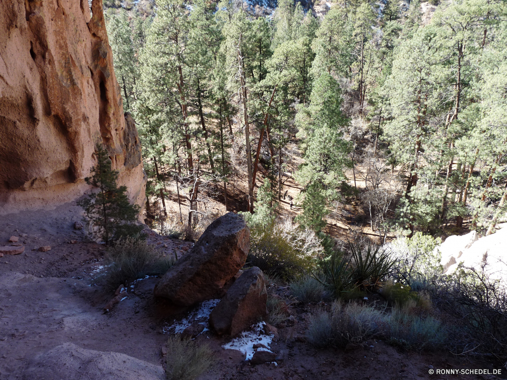 Bandelier National Monument Baum Wald woody plant Landschaft Bäume vascular plant Park Pflanze Hölzer Kiefer Umgebung Belaubung southern beech Blätter im freien natürliche Fluss Holz Wildnis im freien Sommer Berg Frühling Kofferraum Fels fallen Szenerie Saison Wasser Herbst Wild Wandern landschaftlich Bewuchs nationalen Moos Gras Blatt Stream Dschungel Szene Branch Stein Reisen Wanderung Wasserfall Pfad Regen Landschaft Wanderweg nass Entwicklung des ländlichen friedliche üppige Birke cork tree Frieden Creek Flora Land zu Fuß Eiche Berge Straße frisch Sonne Land Tag Tropischer Mahagoni ruhige Sonnenlicht Wanderweg Farben Bereich Klima Fuß Farn Felsen fließende alt Ökologie See Baumstumpf dichten Waldland Tanne Spur Jahreszeiten Schlucht Abenteuer Umwelt- Vorbau Licht Wachstum niemand tree forest woody plant landscape trees vascular plant park plant woods pine environment foliage southern beech leaves outdoor natural river wood wilderness outdoors summer mountain spring trunk rock fall scenery season water autumn wild hiking scenic vegetation national moss grass leaf stream jungle scene branch stone travel hike waterfall path rain countryside trail wet rural peaceful lush birch cork tree peace creek flora country walk oak mountains road fresh sun land day tropical mahogany tranquil sunlight footpath colors area climate walking fern rocks flowing old ecology lake snag dense woodland fir lane seasons canyon adventure environmental stem light growth nobody