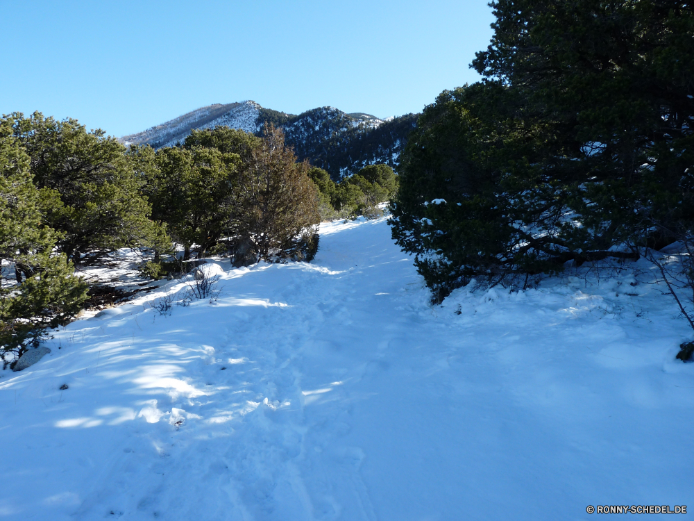 Great Sand Dunes National Park Schnee Berg Winter Landschaft Eis Berge Wald Baum Himmel kalt Steigung Gletscher Alp Tanne schneebedeckt Bereich Bäume Saison Spitze Frost Aufstieg Ski Reisen Wetter im freien gefroren geologische formation sonnig Kiefer Alpine Sonne hoch im freien natürliche Höhe Einfrieren Park Szenerie Tourismus Hügel Holz Fels Szene abgedeckt Tag Alpen Tal Wolken Wandern Wasser Wildnis Sport landschaftlich Urlaub Fluss Branch Umgebung Skipiste saisonale Wolke Skifahren frostig Land Extreme Hölzer See Nach oben Urlaub Kühl Panorama Kristall Sonnenschein natürliche klar Landschaften Klippe Hochland Spitzen Entwicklung des ländlichen eisig Reise Ruhe Grat Sonnenlicht Bergsteigen Schneefall Klettern Klima Urlaub Freizeit friedliche ruhige Aktivität Resort Ufer snow mountain winter landscape ice mountains forest tree sky cold slope glacier alp fir snowy range trees season peak frost ascent ski travel weather outdoor frozen geological formation sunny pine alpine sun high outdoors natural elevation freeze park scenery tourism hill wood rock scene covered day alps valley clouds hiking water wilderness sport scenic vacation river branch environment ski slope seasonal cloud skiing frosty land extreme woods lake top holiday cool panorama crystal sunshine natural clear scenics cliff highland peaks rural icy journey calm ridge sunlight mountaineering snowfall climbing climate vacations leisure peaceful tranquil activity resort shore