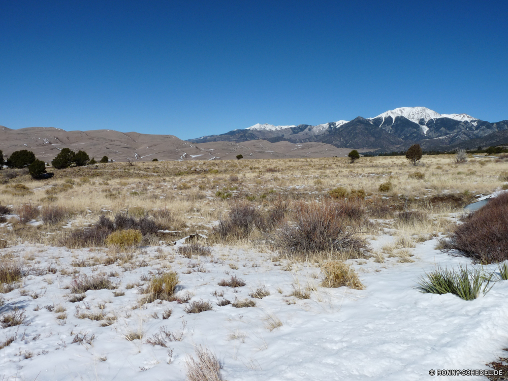 Great Sand Dunes National Park Steppe Reiner Land Berg Landschaft Berge Hochland Himmel Schnee Reisen Bereich Fels Wüste Spitze im freien Düne Tourismus Wildnis Hügel Tal landschaftlich Baum nationalen Wolken Park Stein Winter im freien Wald hoch sonnig Wolke Landschaft Szenerie Fluss Bäume Sommer Reise trocken Umgebung Extreme Urlaub Felsen Sand Gelände natürliche Gras niemand Wasser felsigen Wandern Panorama kalt Feld Alpine schneebedeckt Entwicklung des ländlichen Herbst Gletscher Wild Eis See Steigung Braun Arid Klettern Hügel Szene Abenteuer Frühling Tourist Straße Land Spitzen Gipfeltreffen Tag Mount Wanderung Geologie majestätisch außerhalb Bereich Nach oben Sonne ruhige Horizont Sonnenuntergang Sonnenlicht steppe plain land mountain landscape mountains highland sky snow travel range rock desert peak outdoors dune tourism wilderness hill valley scenic tree national clouds park stone winter outdoor forest high sunny cloud countryside scenery river trees summer journey dry environment extreme vacation rocks sand terrain natural grass nobody water rocky hiking panorama cold field alpine snowy rural autumn glacier wild ice lake slope brown arid climbing hills scene adventure spring tourist road country peaks summit day mount hike geology majestic outside area top sun tranquil horizon sunset sunlight