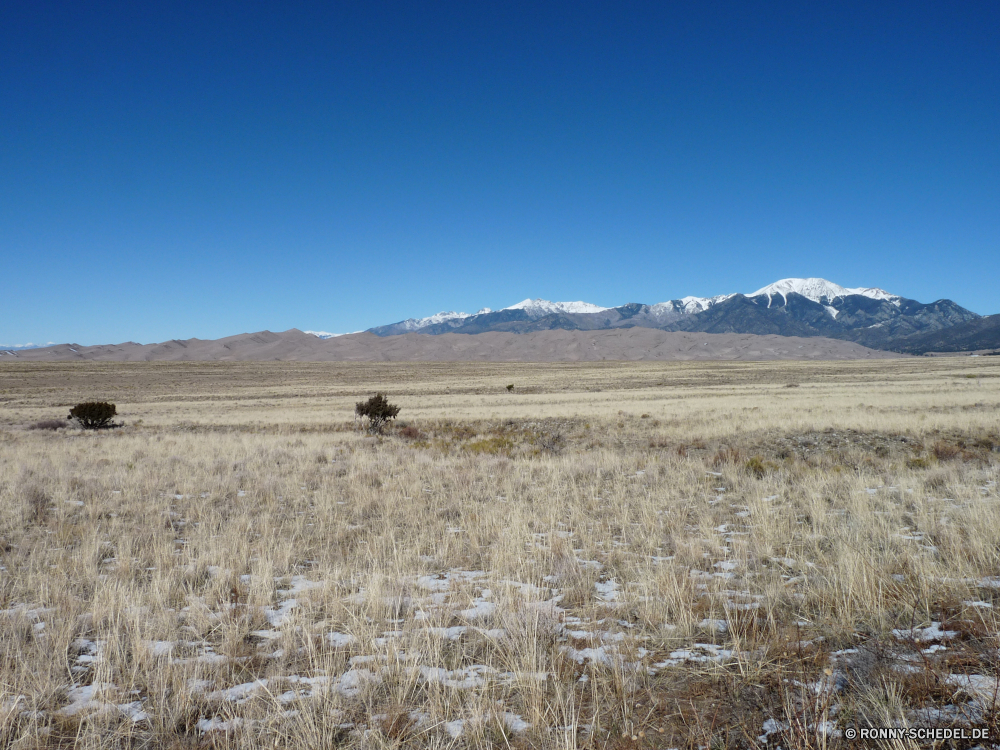 Great Sand Dunes National Park Weizen Feld Landschaft Land Entwicklung des ländlichen Reiner Steppe Himmel Bauernhof Landwirtschaft Gras Sommer Heu Ernte Wiese Landschaft Land Ernte Horizont Wolken Korn Wolke Stroh Landbau cereal Szene im freien Pflanze Sonne Szenerie gelb Ackerland Baum Umgebung Saison Herbst Hügel trocken Mais Golden Sonnenlicht Gold Gerste Ernte Ranch Essen Frühling Tag landschaftlich Futter Düne natürliche Brot Wetter Roggen Hochland Weide Wald Berg Felder Feed im freien sonnig Wüste landwirtschaftlichen Wolkengebilde wachsen Sonnenuntergang Bäume Ballen Ohr außerhalb Samen Sonnenaufgang Berge reif fallen Wachstum nicht Städtisches Reis Landschaften bewölkt Blätter wheat field landscape land rural plain steppe sky farm agriculture grass summer hay harvest meadow countryside country crop horizon clouds grain cloud straw farming cereal scene outdoor plant sun scenery yellow farmland tree environment season autumn hill dry corn golden sunlight gold barley harvesting ranch food spring day scenic fodder dune natural bread weather rye highland pasture forest mountain fields feed outdoors sunny desert agricultural cloudscape grow sunset trees bale ear outside seed sunrise mountains ripe fall growth non urban rice scenics cloudy leaves