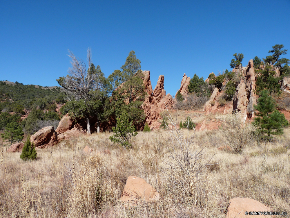 Garden of Gods Landschaft Knoll Schlucht Himmel Fels Wüste Baum Berge Berg Reisen Wildnis Park nationalen Klippe Tal Felsen Bäume Stein im freien vascular plant Urlaub Kaktus Tourismus Hügel woody plant Wolken Reed Pflanze landschaftlich natürliche Aushöhlung Sandstein Sand Yucca Südwesten Szenerie Grand Feld Kraut Fluss Wandern Landschaften Herbst Land trocken Gras Strauch Schlucht Westen im freien Geologie felsigen Sommer Wild Wald Abenteuer Wolke gelb Bereich Bildung in der Nähe Orange Landschaft geologische formation Wasser Land Formationen Tag Antike Hügel Spitze Panorama Bereich heiß Pflanzen fallen Wiese Sonnenlicht landscape knoll canyon sky rock desert tree mountains mountain travel wilderness park national cliff valley rocks trees stone outdoors vascular plant vacation cactus tourism hill woody plant clouds reed plant scenic natural erosion sandstone sand yucca southwest scenery grand field herb river hiking scenics autumn country dry grass shrub ravine west outdoor geology rocky summer wild forest adventure cloud yellow range formation near orange countryside geological formation water land formations day ancient hills peak panoramic area hot plants fall meadow sunlight