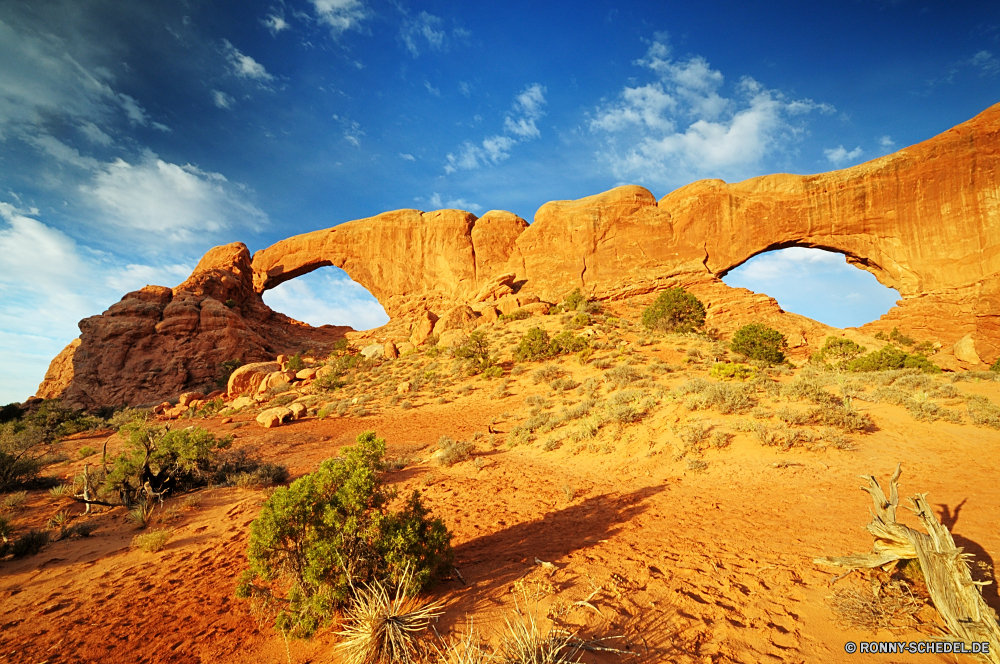 Arches National Park Schlucht Wüste Tal Fels Landschaft Sand Schlucht Park nationalen Reisen Himmel Berg Stein landschaftlich Berge Südwesten Sandstein Westen Tourismus Aushöhlung Wolken Klippe im freien Wildnis natürliche depression Felsen im freien Urlaub Bögen trocken Orange natürliche Mesa Hochland Baum Formationen Arid Geologie Szenerie geologische Darm-Trakt Land Bildung Wahrzeichen Fluss Felge Gelände Grand Wandern Landschaften Butte Pflanze Boden westliche Abenteuer Kaktus Tourist Sonnenuntergang Wunder Ehrfurcht Denkmal Arches Nationalpark Horizont Nationalpark Aussicht Welt Erde Wild Straße Bogen Spitze Sonne Wolke felsigen entfernten Panorama Süden Sonnenaufgang Hügel Wärme friedliche Staaten Extreme Schmutz Land Bäume Gras Sommer canyon desert valley rock landscape sand ravine park national travel sky mountain stone scenic mountains southwest sandstone west tourism erosion clouds cliff outdoors wilderness natural depression rocks outdoor vacation arches dry orange natural mesa highland tree formations arid geology scenery geological tract land formation landmark river rim terrain grand hiking scenics butte plant soil western adventure cactus tourist sunset wonder awe monument arches national park horizon national park vista world earth wild road arch peak sun cloud rocky remote panoramic south sunrise hill heat peaceful states extreme dirt country trees grass summer