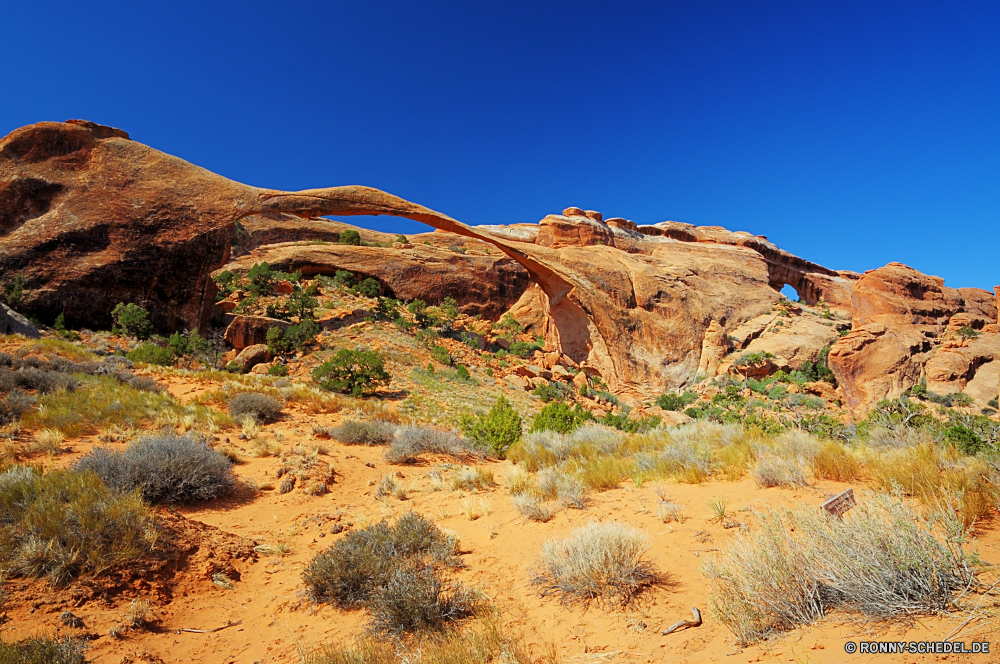 Arches National Park Wüste Schlucht Landschaft Fels Berg Sand Himmel Darm-Trakt Reisen Berge Tal nationalen Park trocken Wildnis Stein Land Sandstein im freien Schlucht Tourismus Hügel Arid Düne Felsen landschaftlich Kaktus Klippe im freien Sommer natürliche Aushöhlung Geologie Orange Bereich Wärme Hochland Hügel Pflanze Bereich Tag niemand Umgebung gelb Landschaften Schmutz Urlaub Wild Wolken Steppe Straße Szenerie Gelände Spitze Wolke heiß Horizont Südwesten Bildung Westen Extreme Klima natürliche depression Boden Mesa Sonne Denkmal Insel Braun Toten in der Nähe Boden sonnig Erde Abenteuer Reise Reiner Osten Ökologie Land Naher Osten karge Dürre Bögen Baum entfernten Mitte Tourist Farbe Sonnenuntergang Einsamkeit desert canyon landscape rock mountain sand sky tract travel mountains valley national park dry wilderness stone land sandstone outdoor ravine tourism hill arid dune rocks scenic cactus cliff outdoors summer natural erosion geology orange range heat highland hills plant area day nobody environment yellow scenics dirt vacation wild clouds steppe road scenery terrain peak cloud hot horizon southwest formation west extreme climate natural depression soil mesa sun monument island brown dead near ground sunny earth adventure journey plain east ecology country middle east barren drought arches tree remote middle tourist color sunset solitude