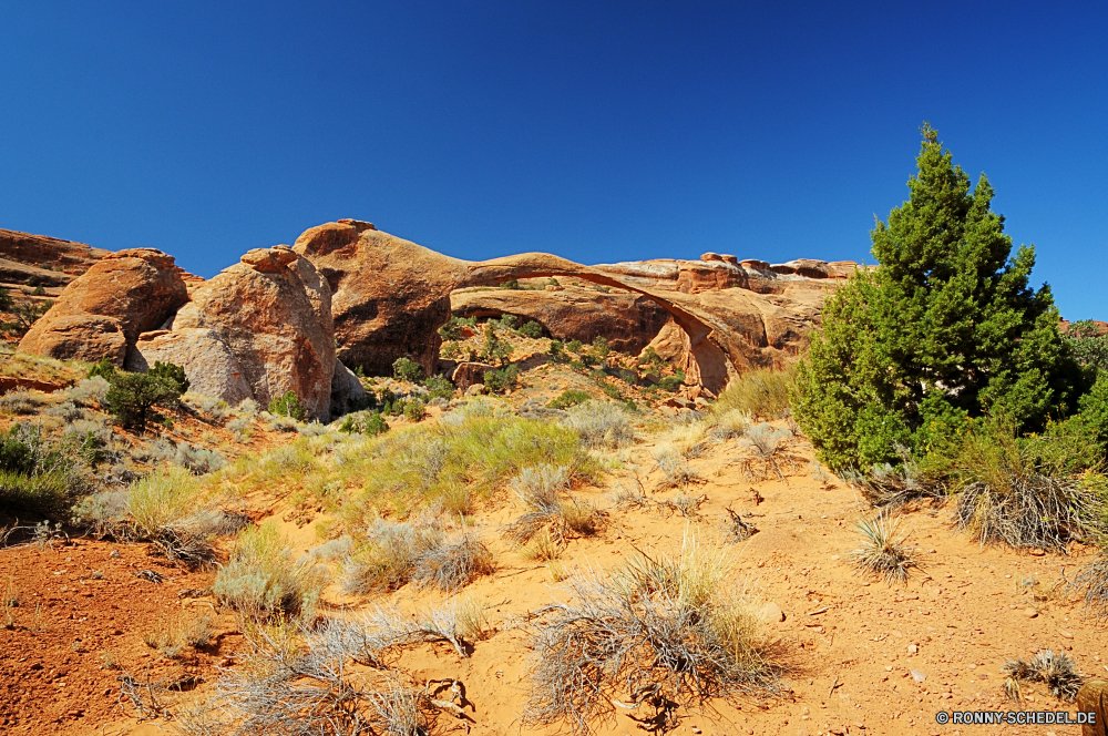 Arches National Park Wüste Landschaft Berg Knoll Sand Fels Himmel Schlucht Wildnis Reisen Tal nationalen trocken Park Stein Berge Klippe landschaftlich Sandstein Hügel Tourismus Arid im freien im freien Felsen Bereich Land natürliche Hochland Szenerie Wärme Bildung Wild Straße Spitze Düne Urlaub Sommer Südwesten Wolken gelb Landschaften Denkmal Baum Aushöhlung Westen Umgebung Orange Klima Reise Sonne Tag Horizont Geologie Gelände Schmutz Abenteuer Wolke niemand Pflanze karge Hügel heiß Sonnenuntergang Geschichte Mesa Braun westliche entfernten Wandern in der Nähe Antike Bereich Kaktus Steigung Entwicklung des ländlichen Wanderung Szene Boden Breite Extreme Panorama Sonnenaufgang Schlucht Osten Insel Farbe Wahrzeichen Grab Herbst Aufstieg desert landscape mountain knoll sand rock sky canyon wilderness travel valley national dry park stone mountains cliff scenic sandstone hill tourism arid outdoor outdoors rocks range land natural highland scenery heat formation wild road peak dune vacation summer southwest clouds yellow scenics monument tree erosion west environment orange climate journey sun day horizon geology terrain dirt adventure cloud nobody plant barren hills hot sunset history mesa brown western remote hiking near ancient area cactus slope rural hike scene soil wide extreme panorama sunrise ravine east island color landmark grave autumn ascent