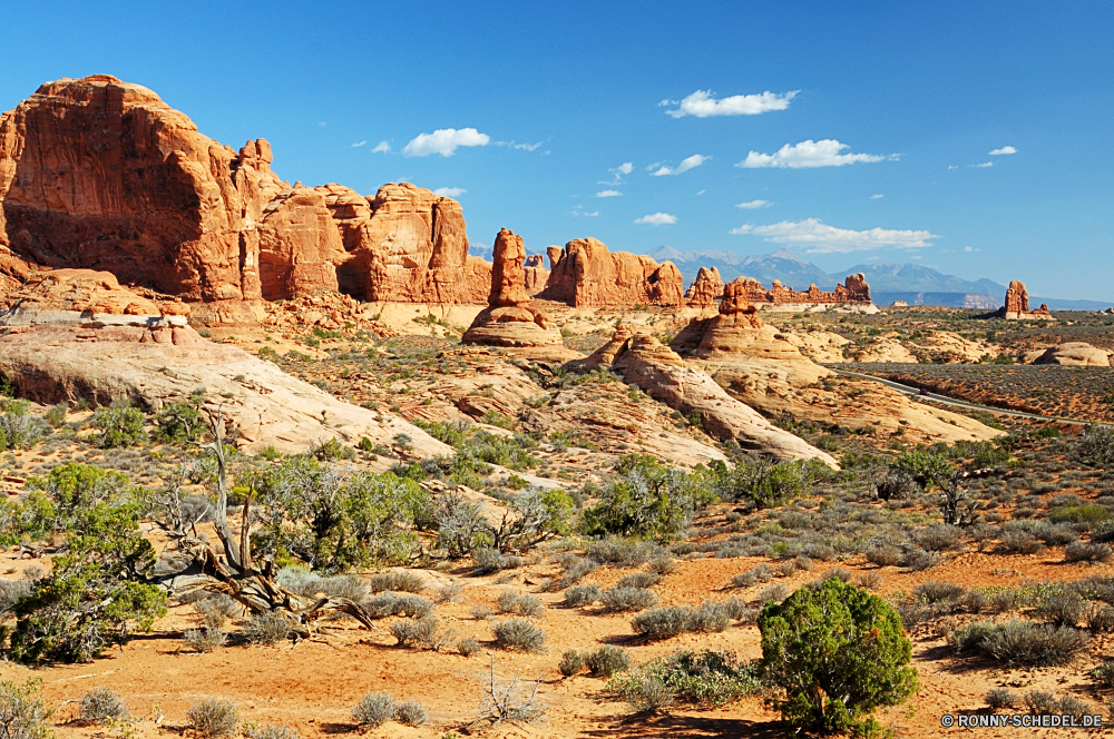 Arches National Park Schlucht Fels Tal Wüste Landschaft Schlucht Park Klippe Berg Reisen nationalen Stein Sandstein Himmel Tourismus landschaftlich Aushöhlung Sand natürliche depression Berge Südwesten Felsen Geologie natürliche im freien Bildung Wolken im freien Urlaub geologische formation Wildnis Westen Wahrzeichen geologische Schloss Formationen Orange Wandern Tourist Baum Bögen Grand Szenerie Ringwall Abenteuer Mesa Fluss Befestigung Festung Butte Klippen Arid trocken Land Felge Wunder westliche Sommer Antike Denkmal Backstein Aussicht Panorama Landschaften Hügel Ziel Ehrfurcht alt Wanderung Gelände Reise Süden Lineal berühmte Defensive Struktur Umgebung Kaktus reservieren Szene bunte Panorama Baumaterial Turm Wasser Bereich Land gelb Struktur Wolke heiß Reise Farbe Horizont Wild canyon rock valley desert landscape ravine park cliff mountain travel national stone sandstone sky tourism scenic erosion sand natural depression mountains southwest rocks geology natural outdoor formation clouds outdoors vacation geological formation wilderness west landmark geological castle formations orange hiking tourist tree arches grand scenery rampart adventure mesa river fortification fortress butte cliffs arid dry land rim wonder western summer ancient monument brick vista panoramic scenics hill destination awe old hike terrain trip south ruler famous defensive structure environment cactus reserve scene colorful panorama building material tower water range country yellow structure cloud hot journey color horizon wild