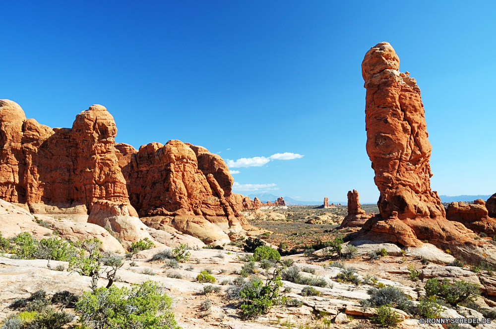 Arches National Park Schlucht Schlucht Tal natürliche depression Fels Wüste Park Landschaft Reisen nationalen Sandstein Himmel Stein Berg Formationen Tourismus Bildung Sand Felsen natürliche Aushöhlung Bögen Klippe landschaftlich Geologie Wildnis Wolken Berge Urlaub im freien Südwesten im freien Wahrzeichen geologische Szenerie Arid Baum Westen Orange westliche Wandern Landschaften Gelände Umgebung Hügel Denkmal Tourist Wolke Land Bereich Steine trocken Nationalpark Sommer berühmte heiß Mesa Ehrfurcht Aussicht Bogen Szene Antike Süden Horizont Geschichte Farbe Butte Sonne Wunder Boden Panorama Extreme Abenteuer Bereich Wanderung reservieren Hügel felsigen majestätisch Reise Reise Ziel Fluss canyon ravine valley natural depression rock desert park landscape travel national sandstone sky stone mountain formations tourism formation sand rocks natural erosion arches cliff scenic geology wilderness clouds mountains vacation outdoor southwest outdoors landmark geological scenery arid tree west orange western hiking scenics terrain environment hill monument tourist cloud land area stones dry national park summer famous hot mesa awe vista arch scene ancient south horizon history color butte sun wonder soil panoramic extreme adventure range hike reserve hills rocky majestic trip journey destination river